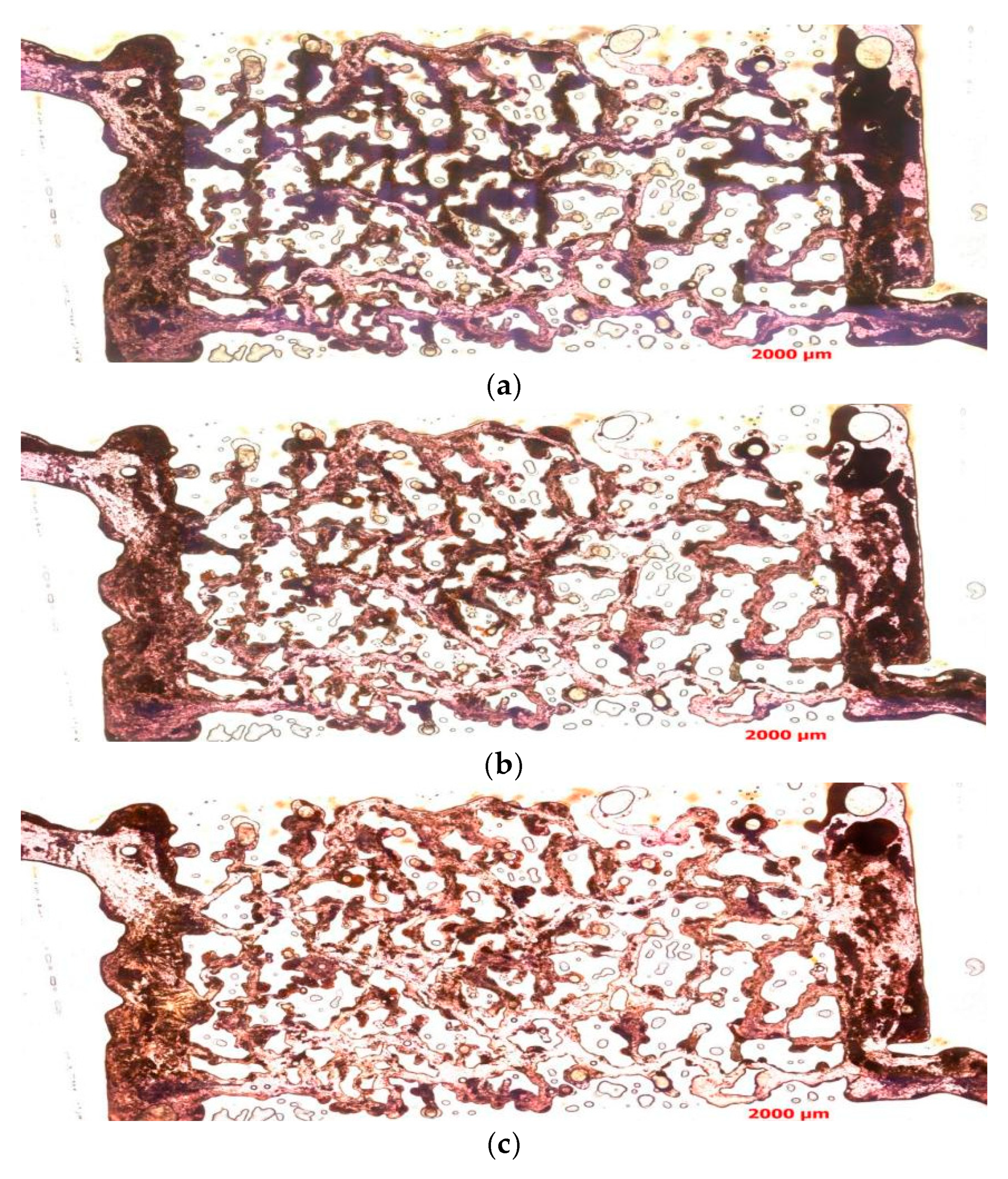 Polymers 16 03494 g010
