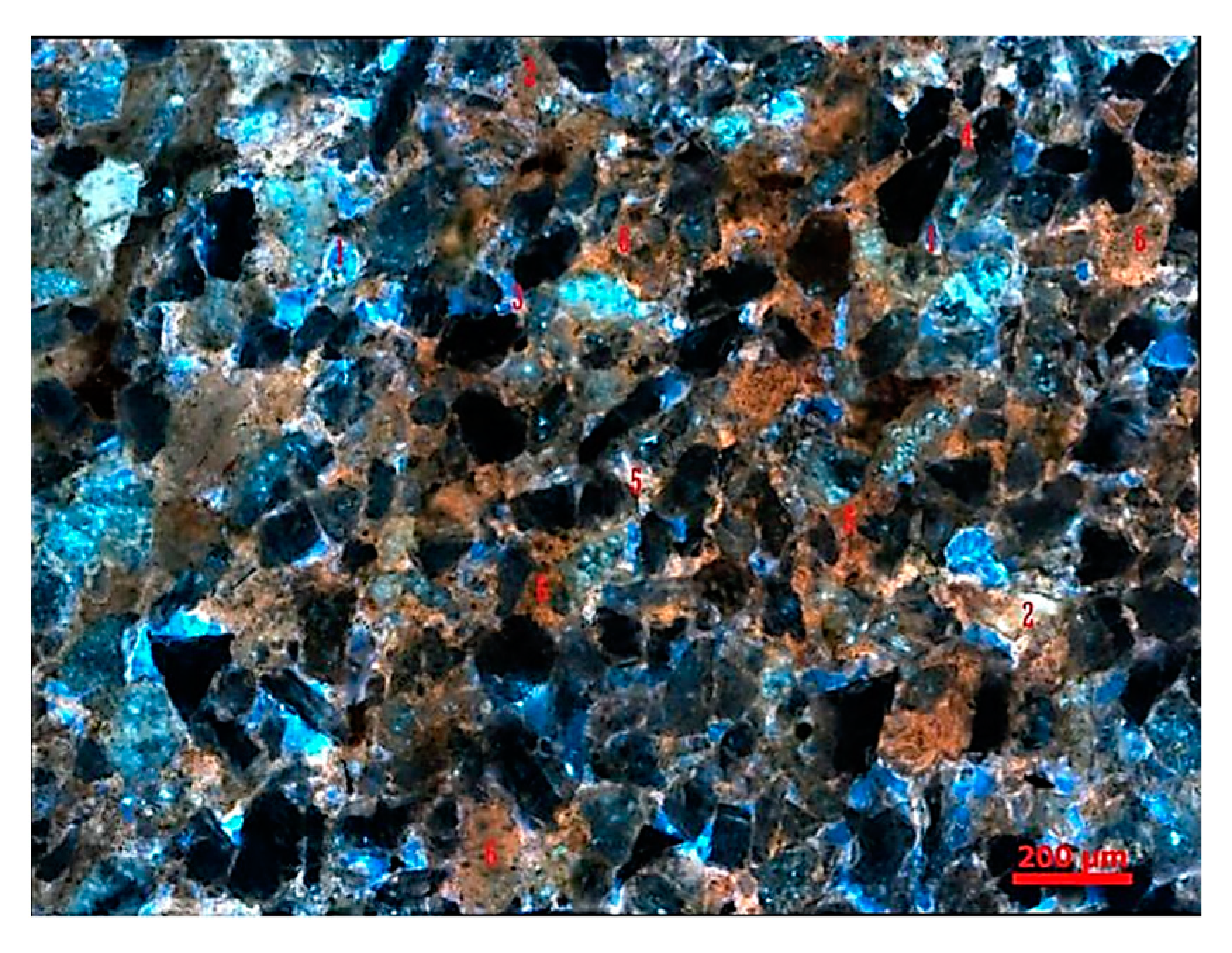 Polymers 16 03494 g012