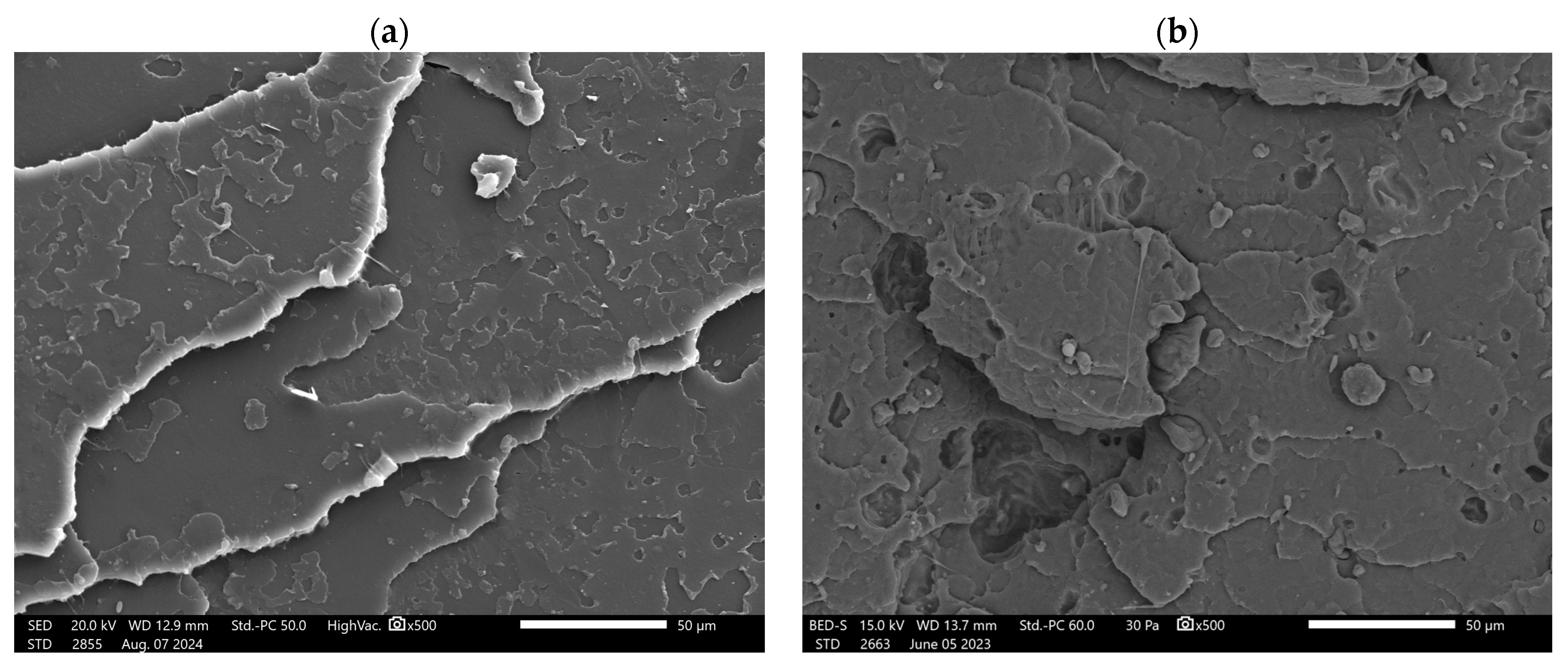Polymers 16 03495 g003a