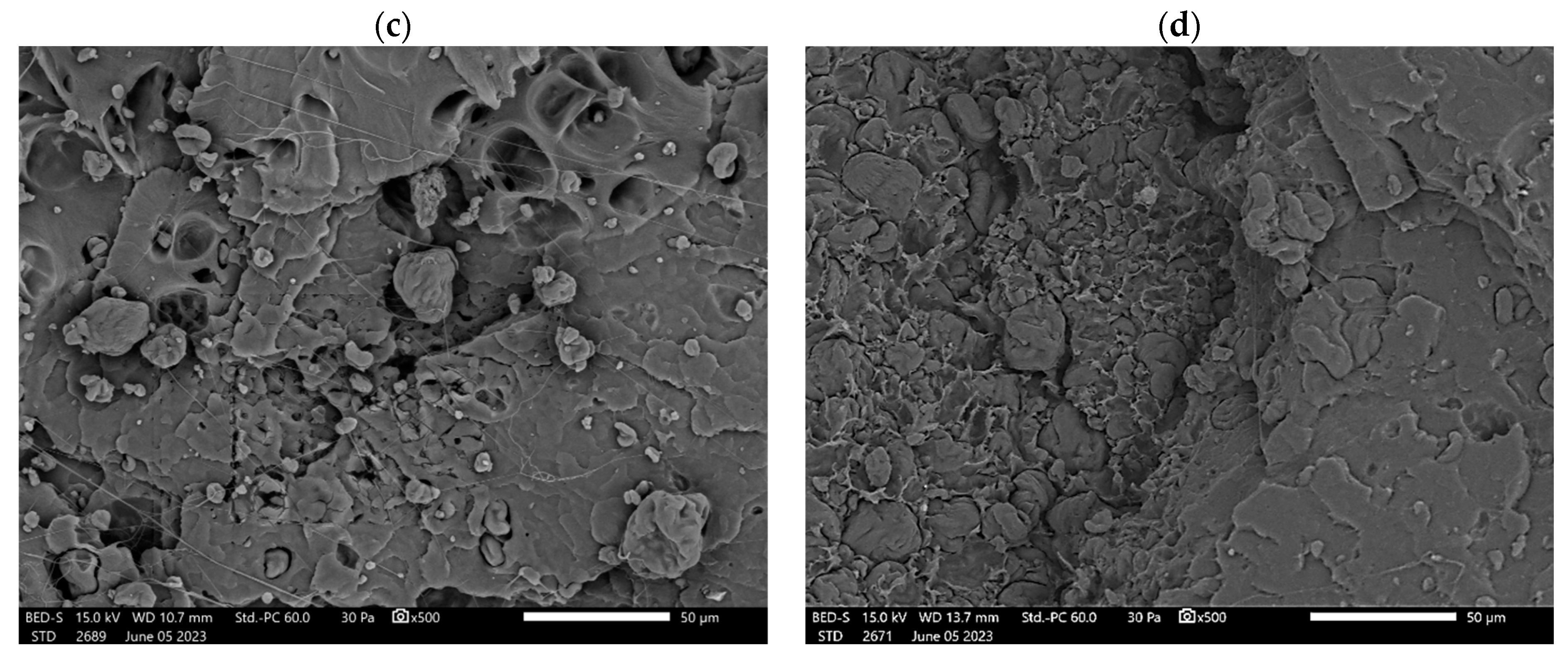 Polymers 16 03495 g003b