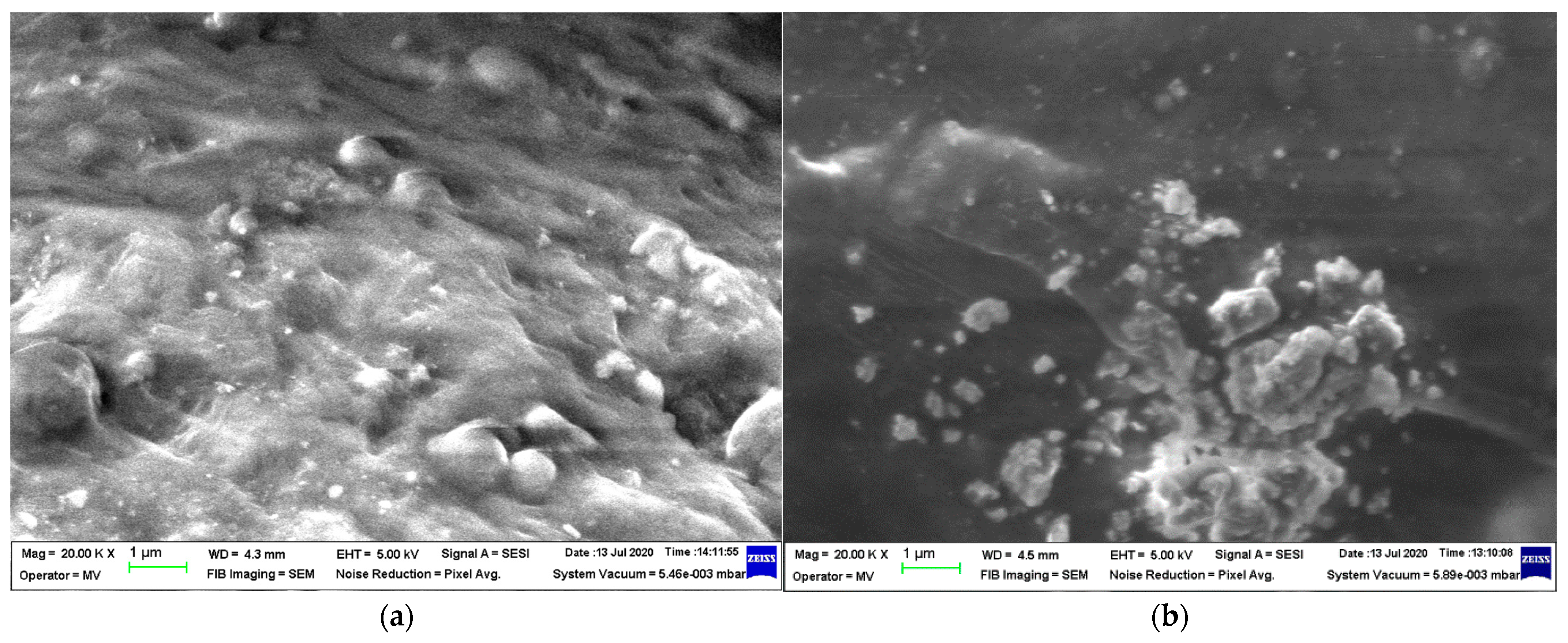 Polymers 16 03496 g003