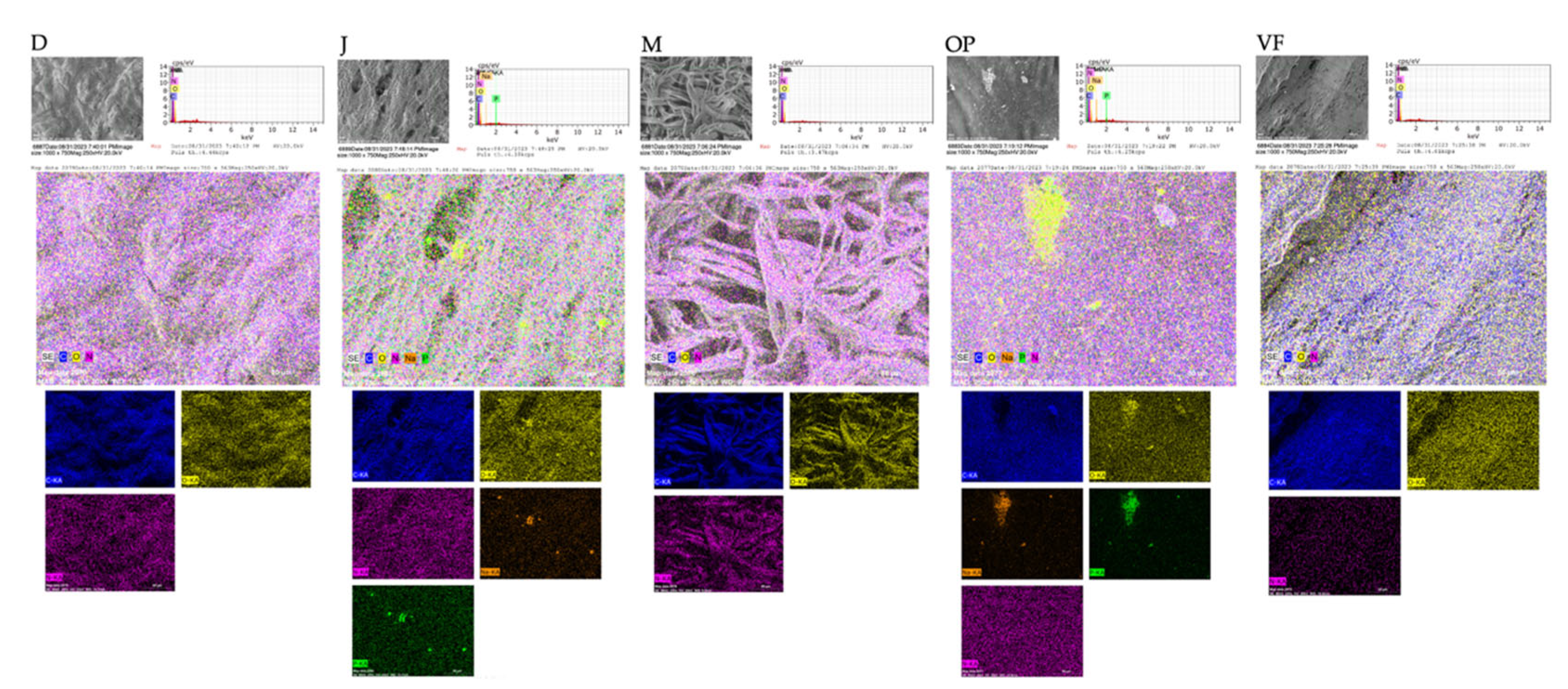 Polymers 16 03499 g002