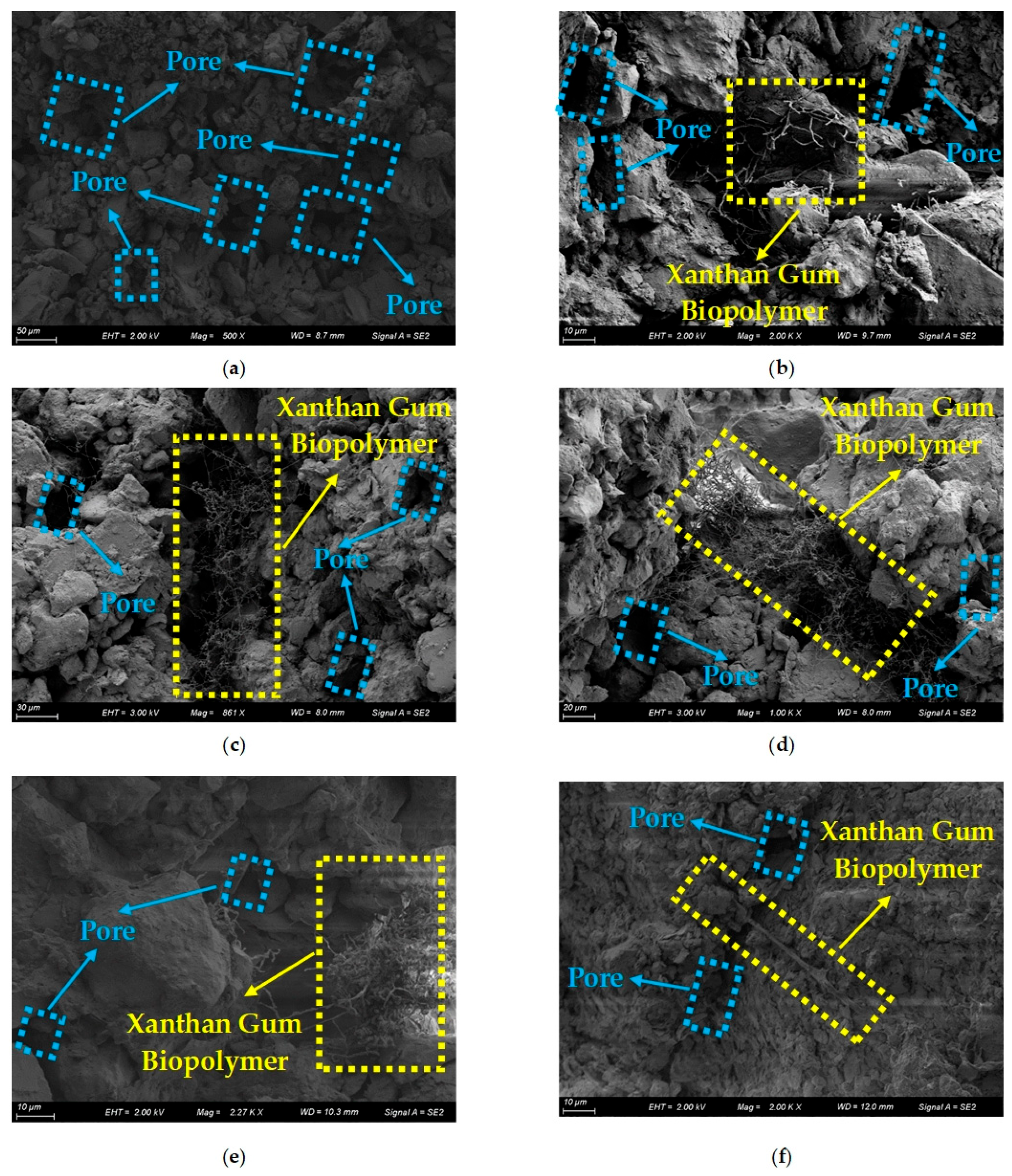 Polymers 16 03500 g018