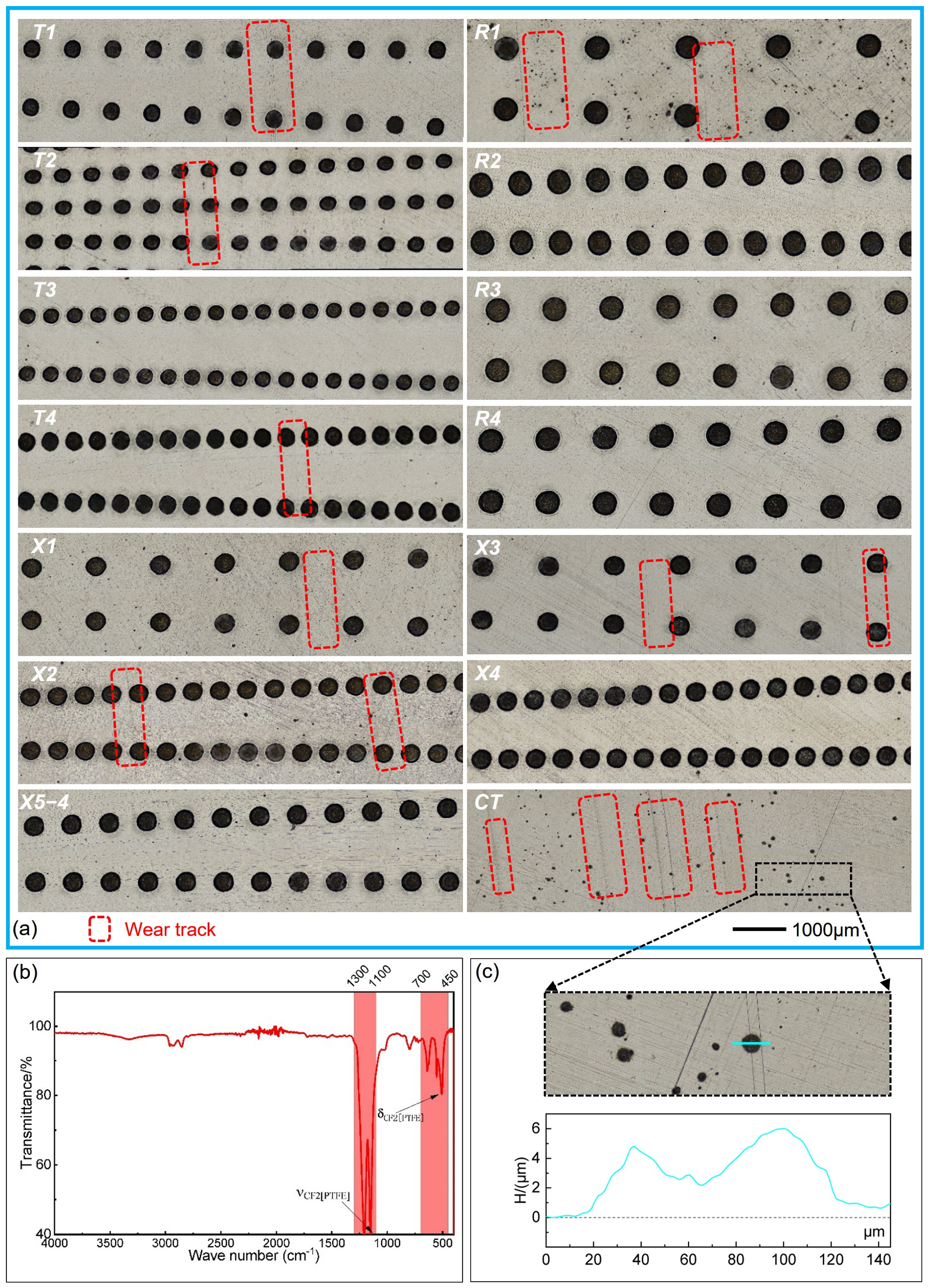 Polymers 16 03505 g005