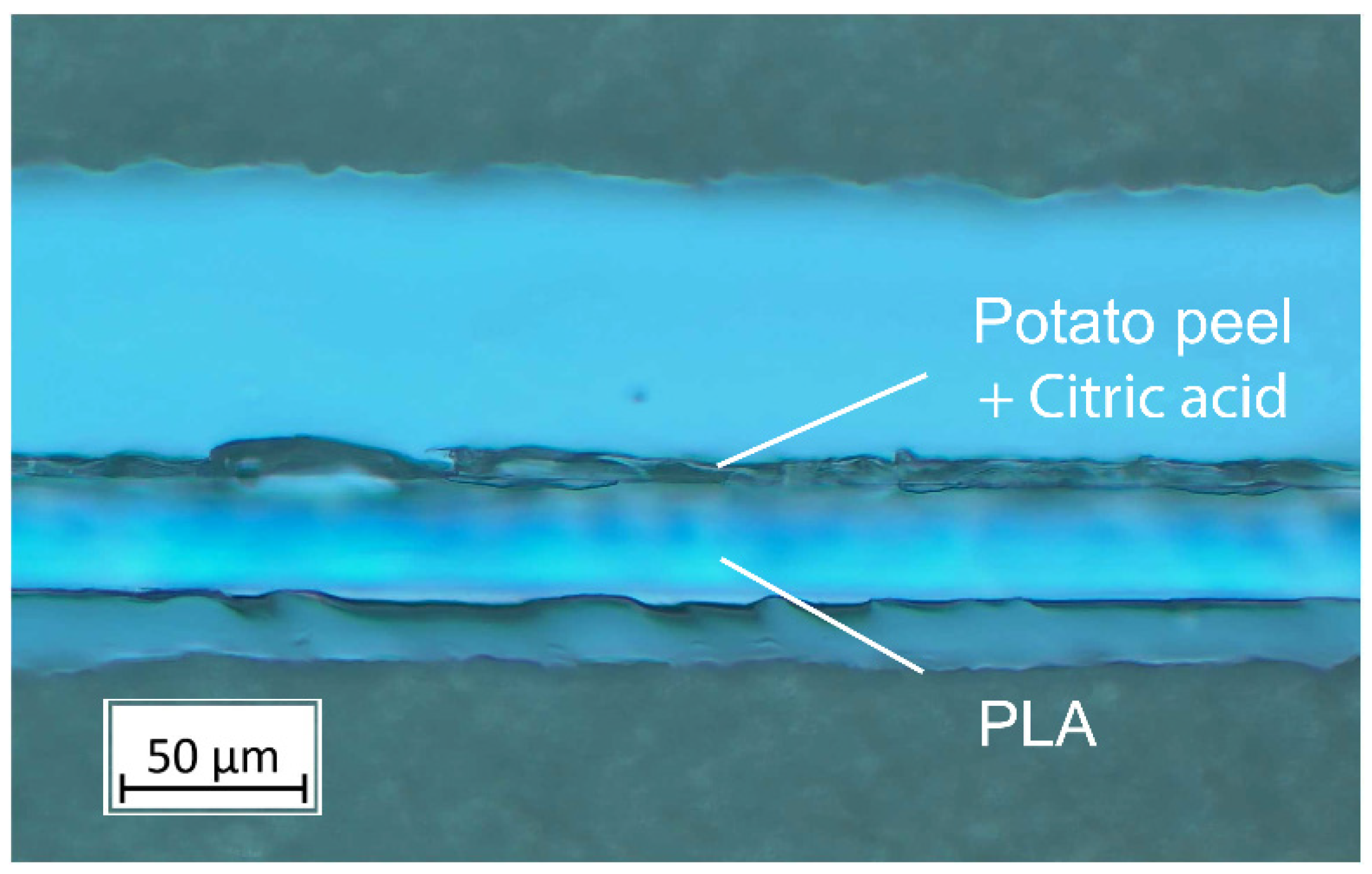 Polymers 16 03506 g001