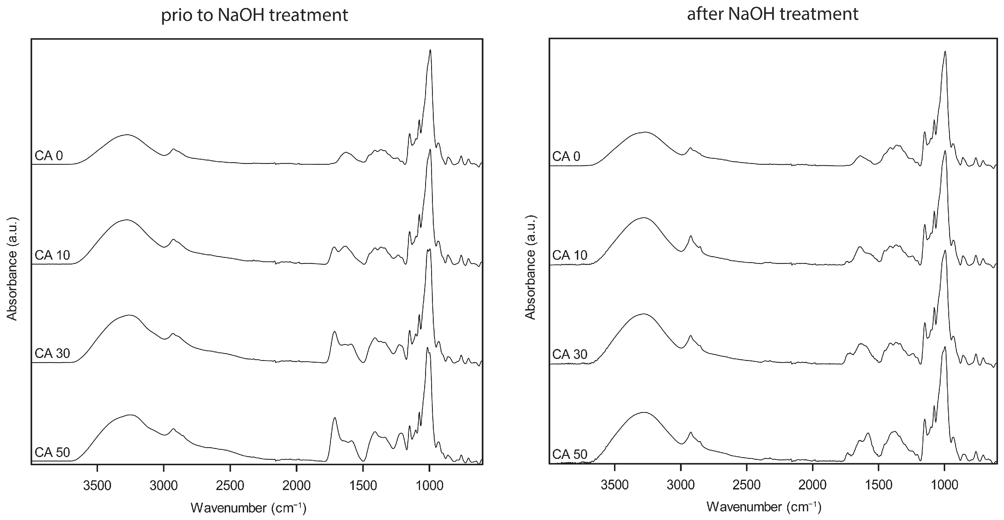 Polymers 16 03506 g002