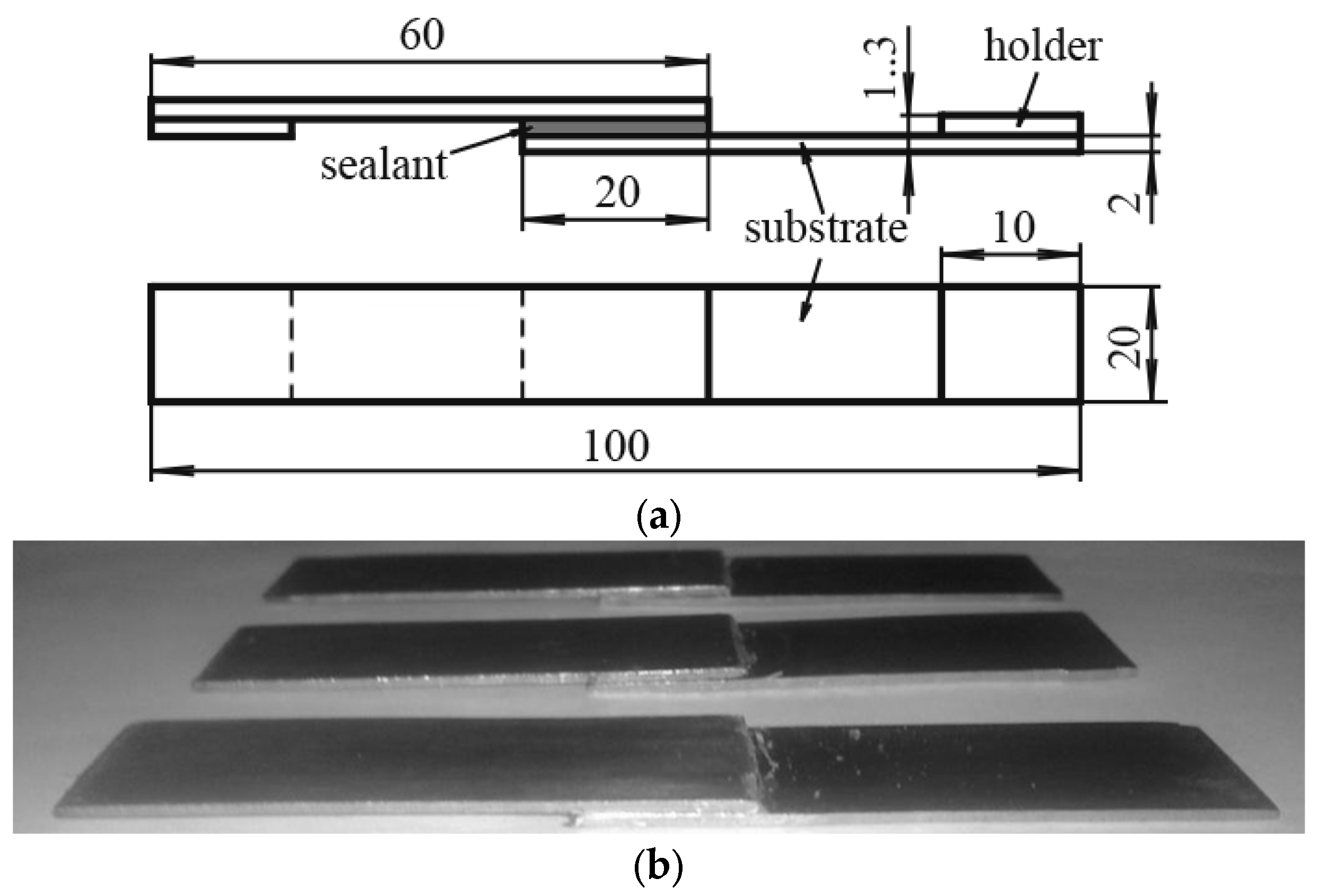 Polymers 16 03511 g001