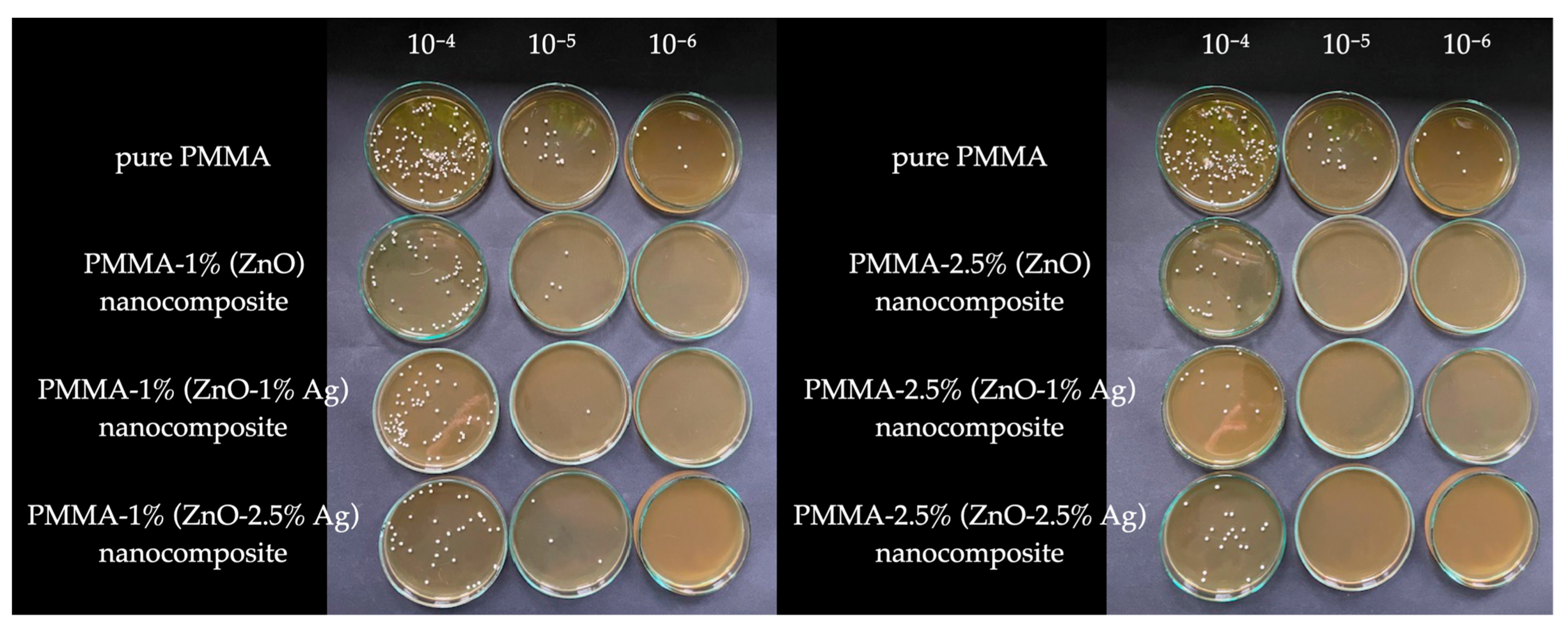 Polymers 16 03512 g005