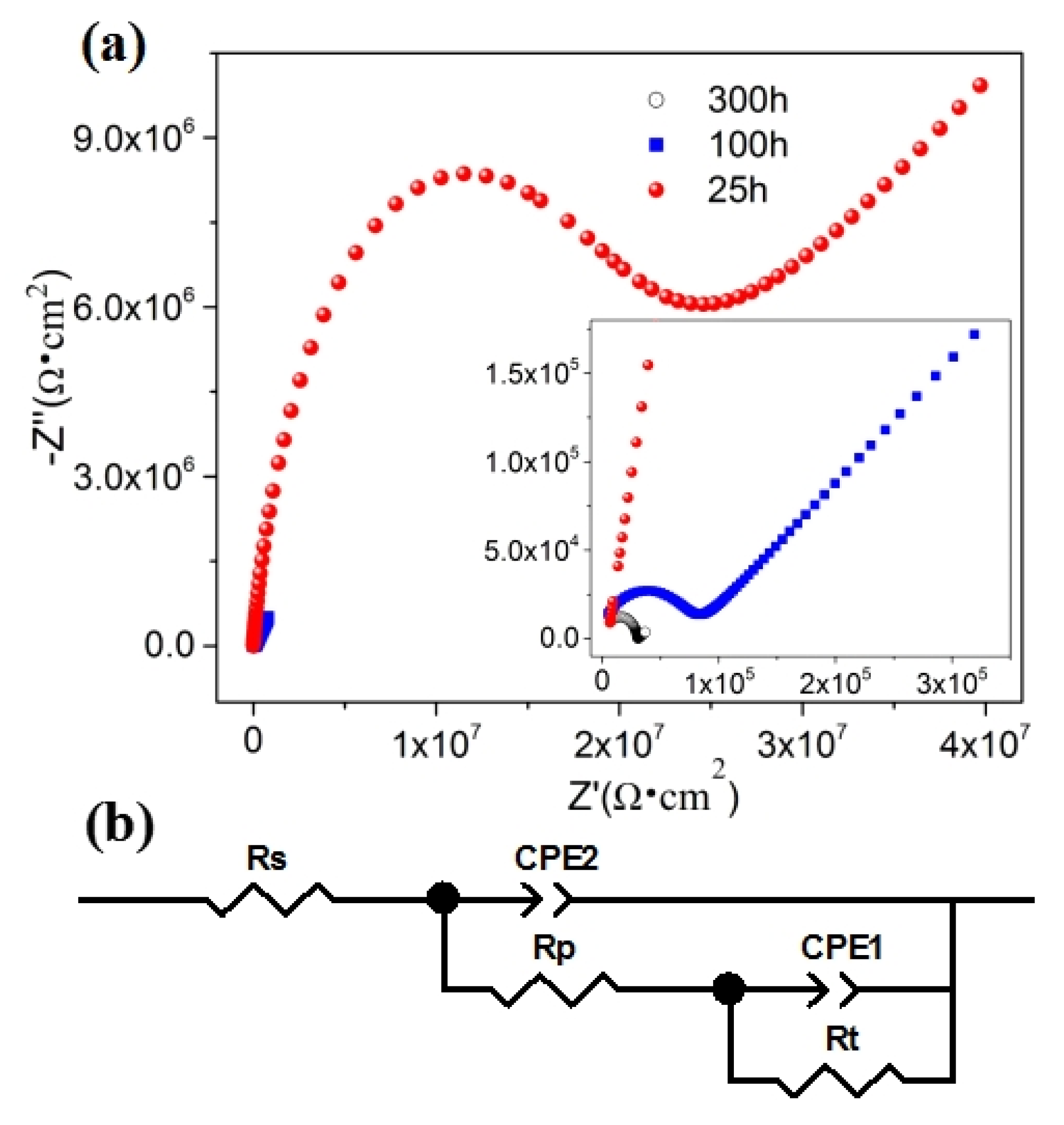 Polymers 16 03513 g005