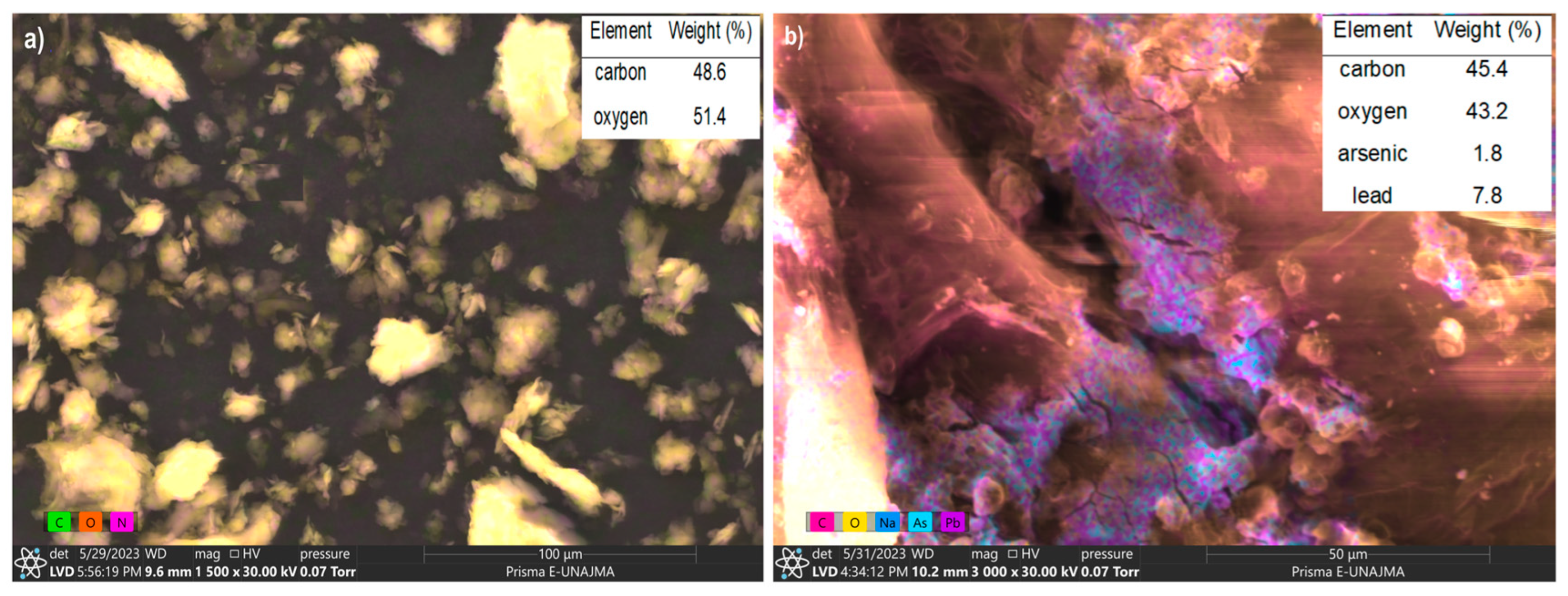 Polymers 16 03515 g004