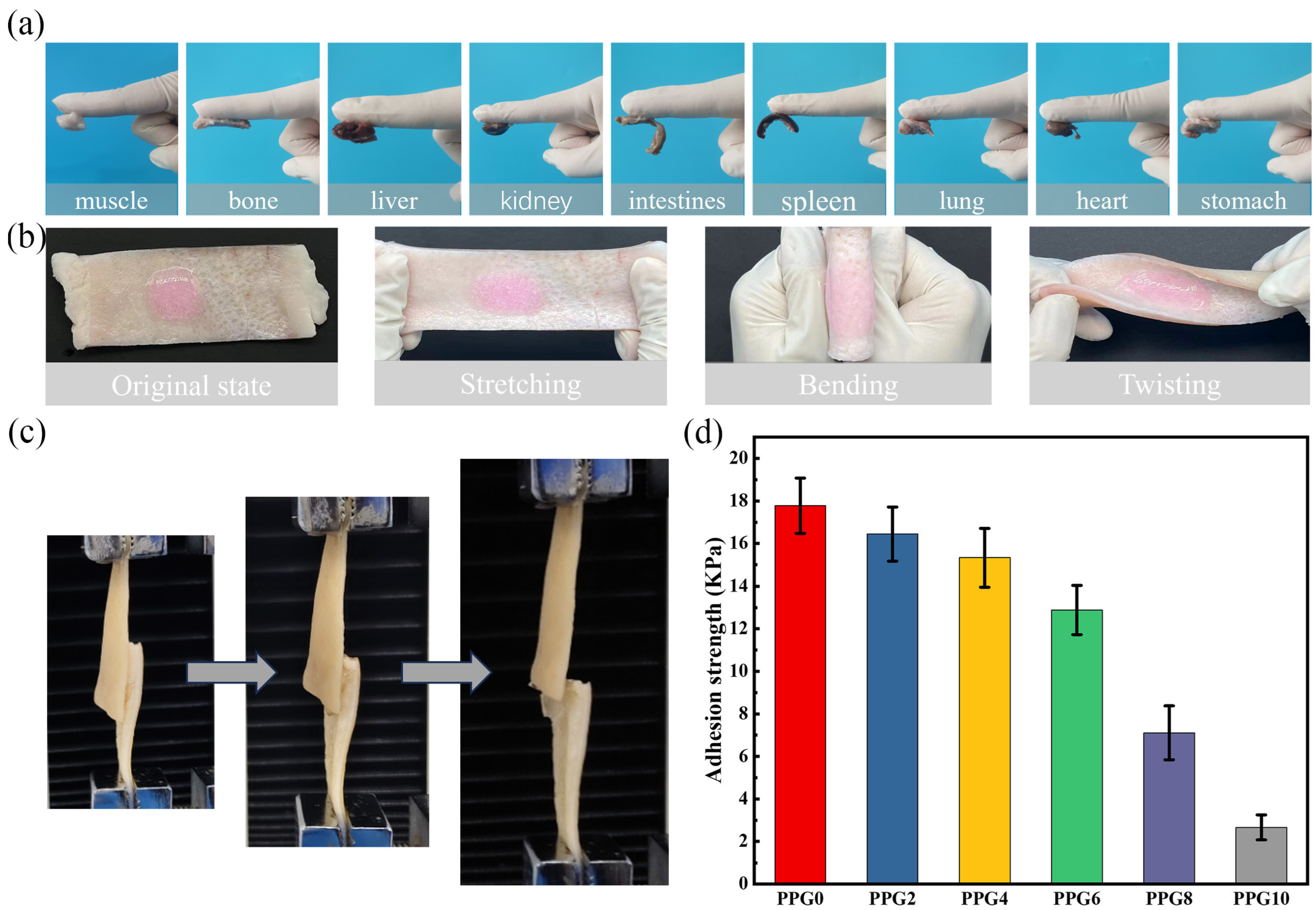 Polymers 16 03516 g008