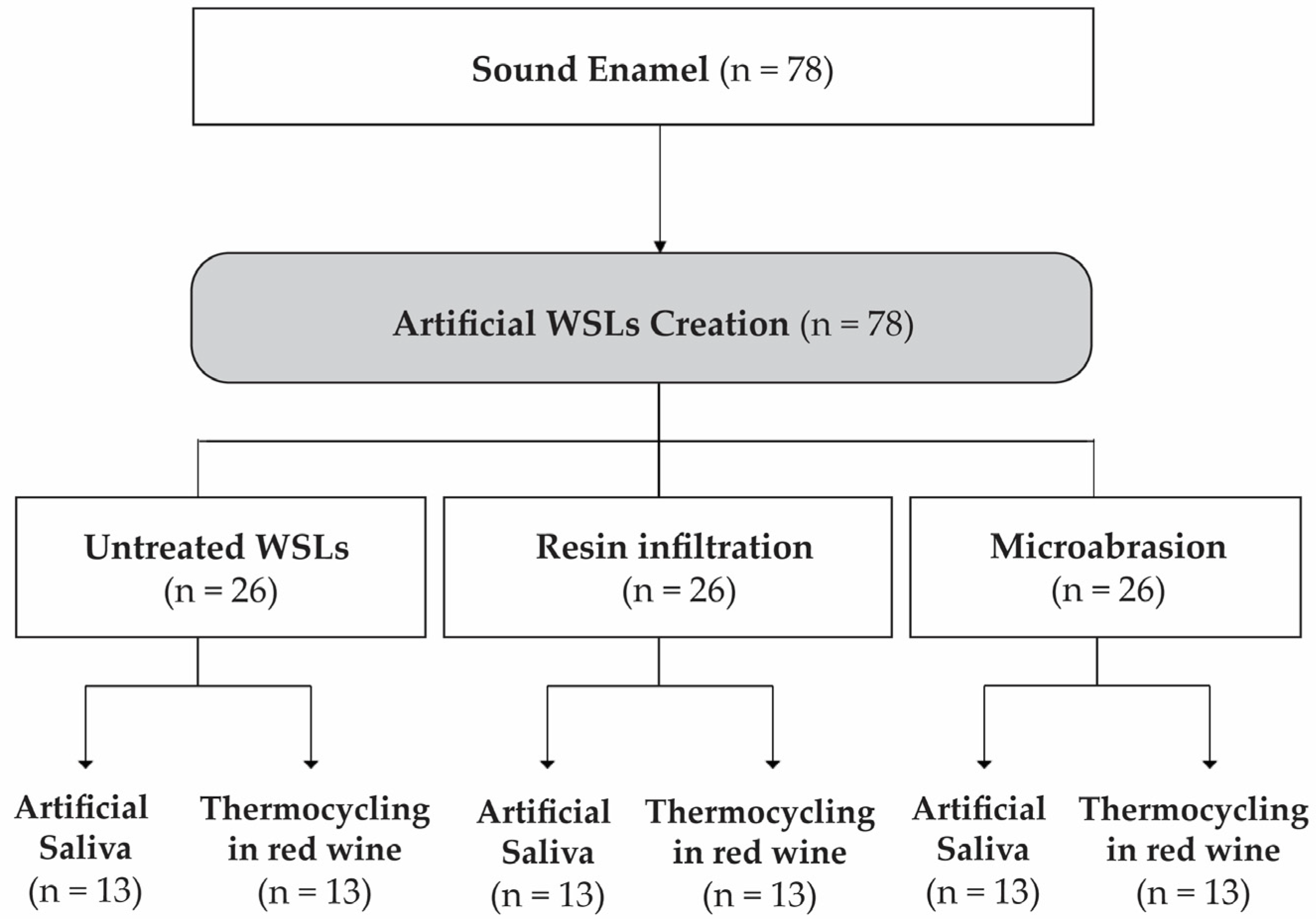 Polymers 16 03523 g001