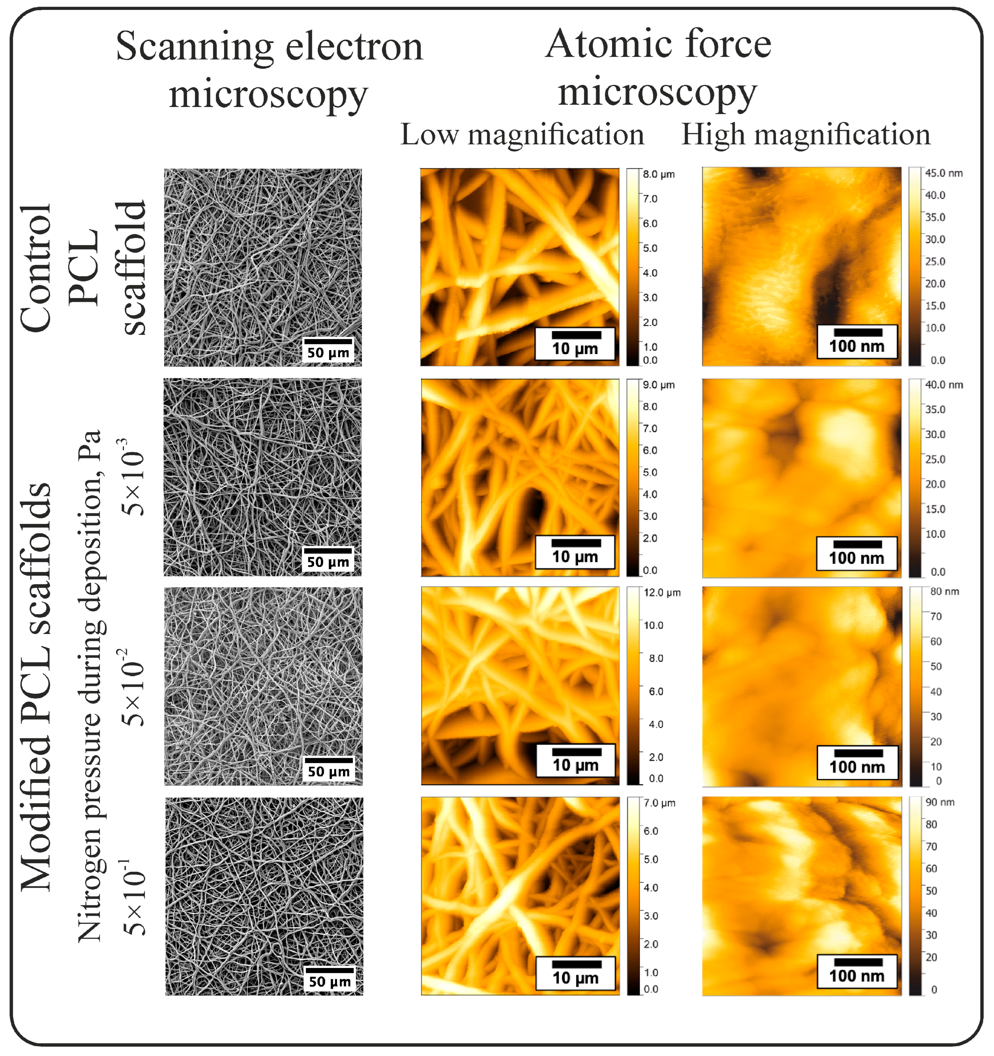 Polymers 16 03524 g001