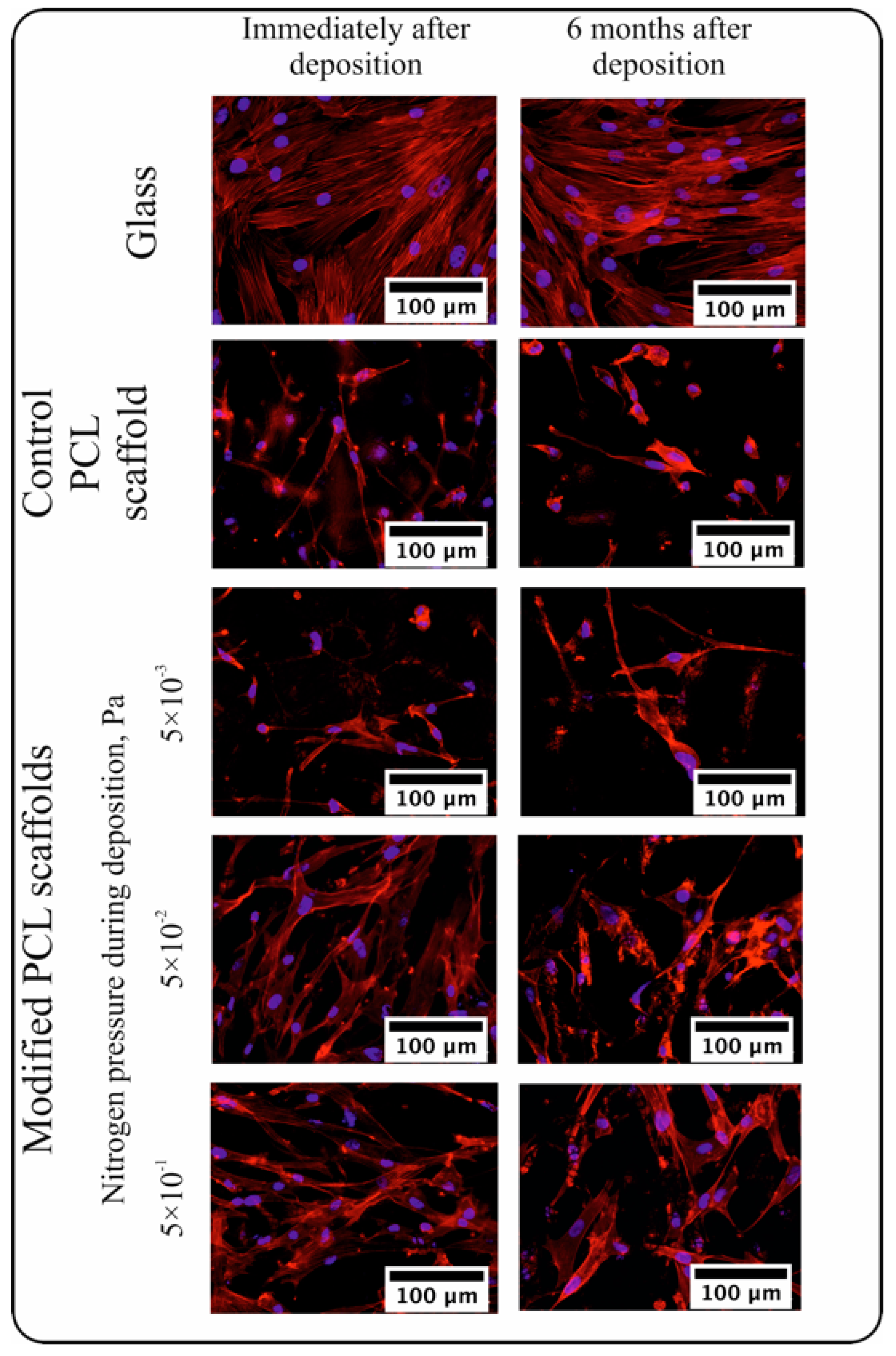 Polymers 16 03524 g004