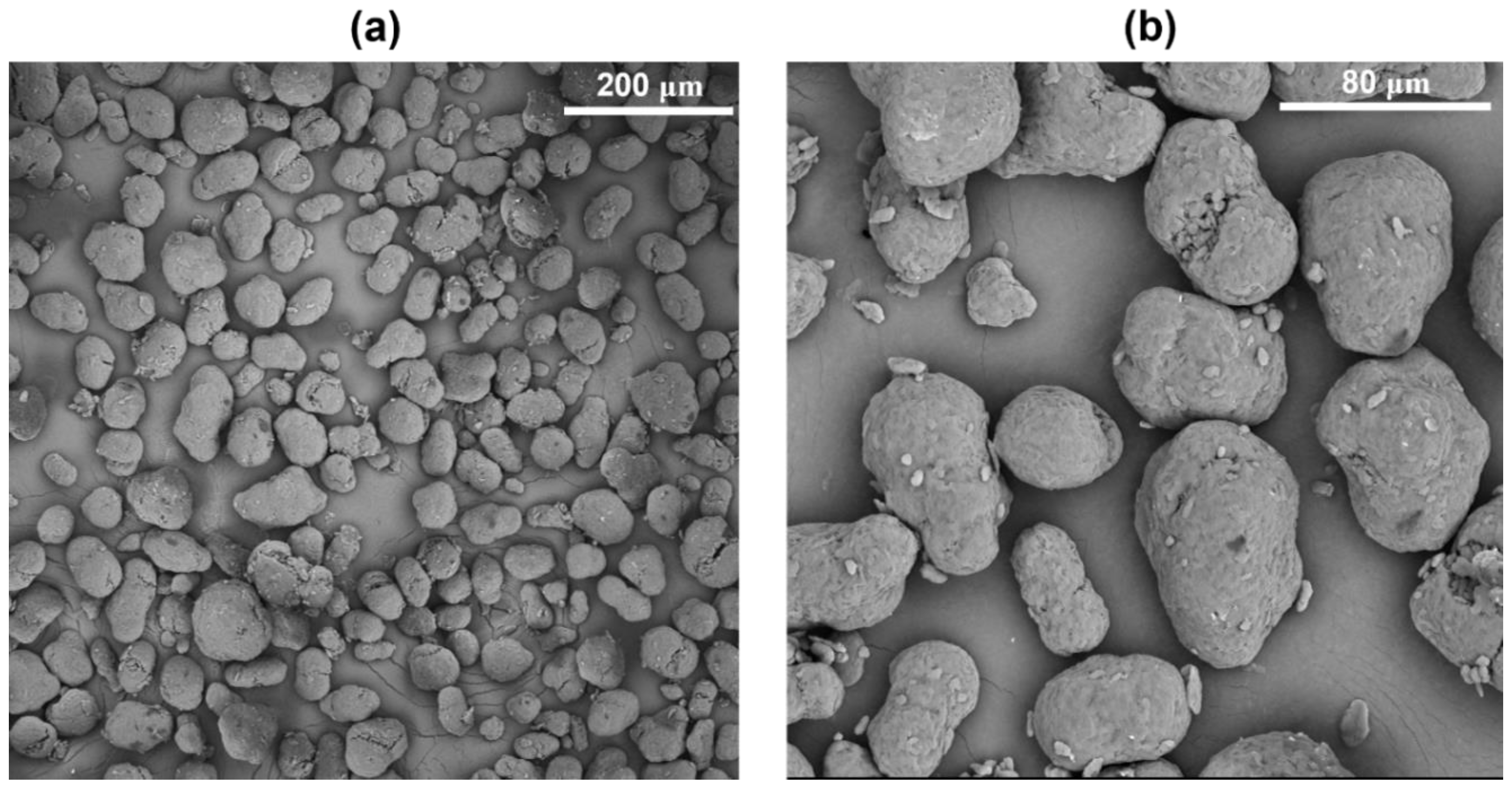 Polymers 16 03526 g001