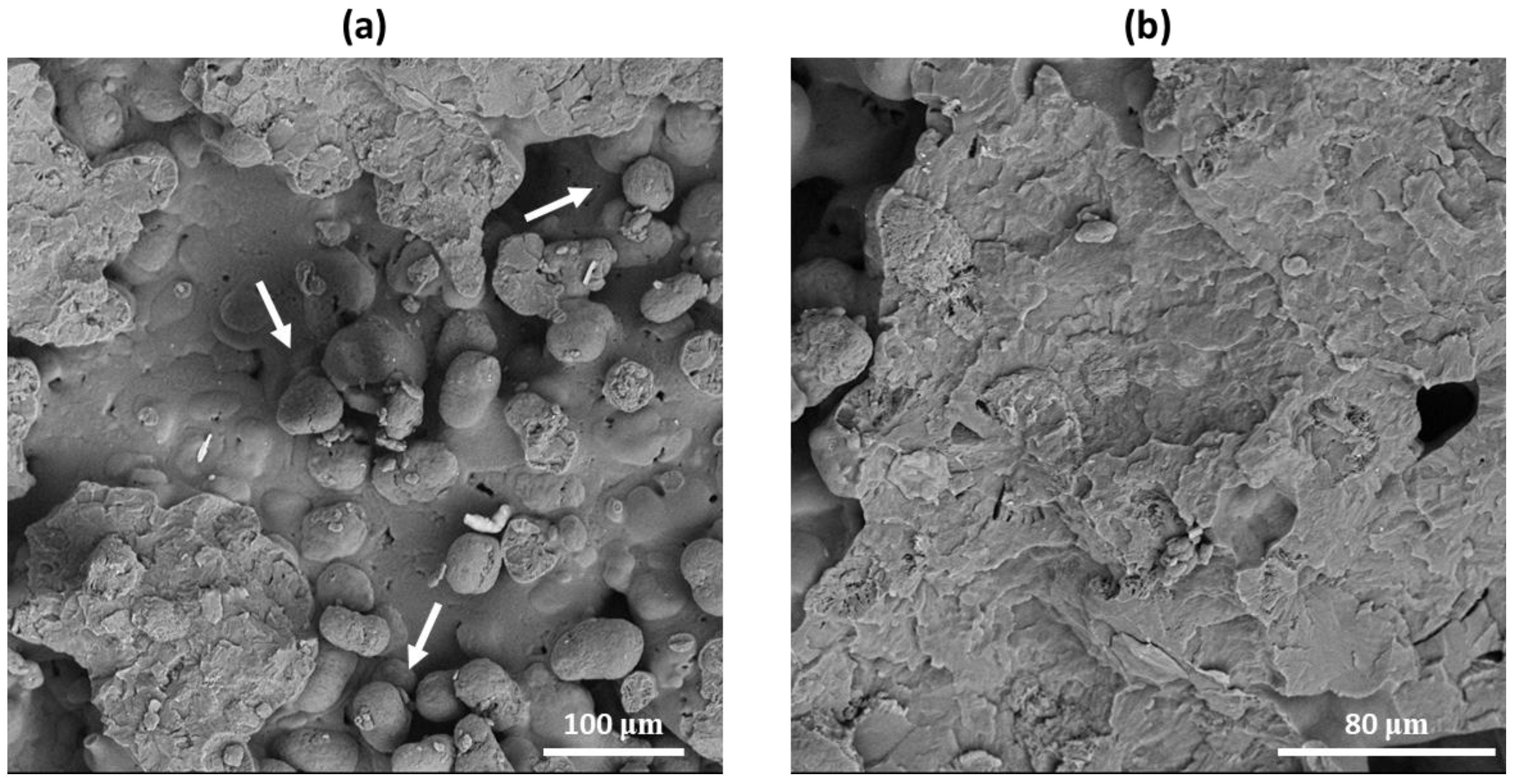 Polymers 16 03526 g005