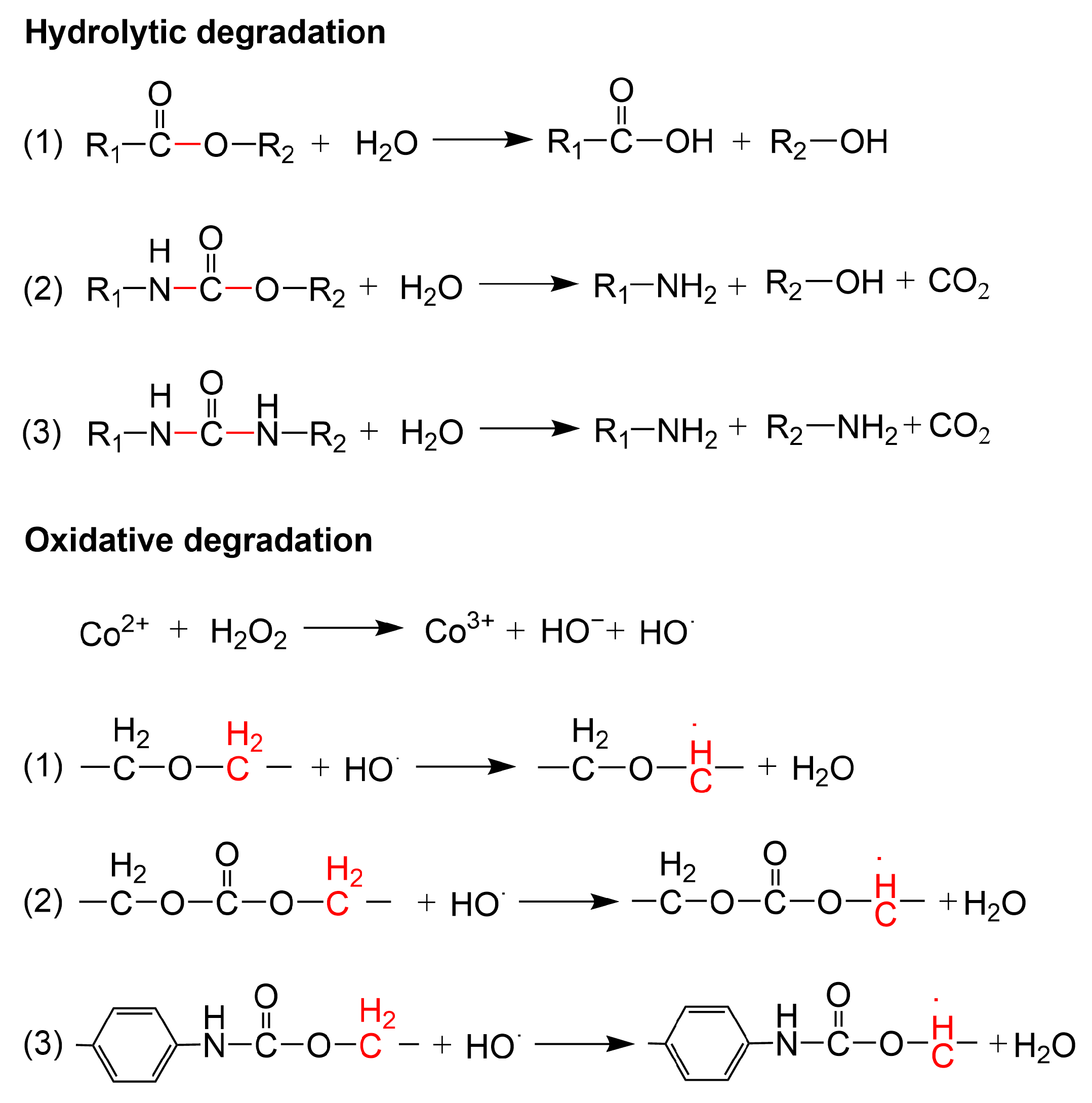 Polymers 16 03528 g002 Polymers 16 03528 g002