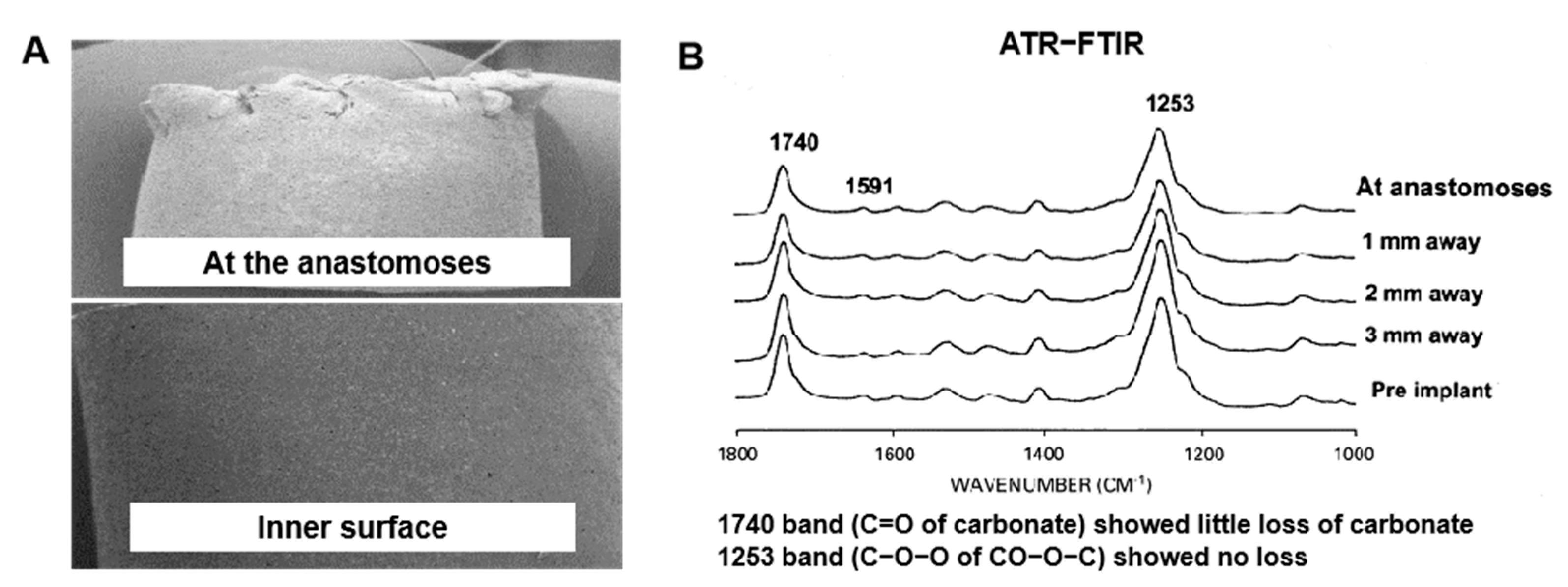 Polymers 16 03528 g004 Polymers 16 03528 g004