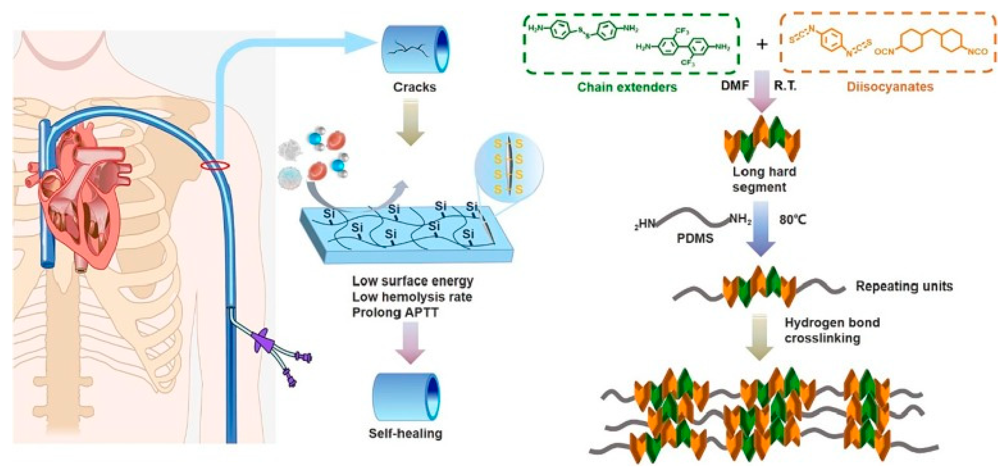 Polymers 16 03528 g005 Polymers 16 03528 g005