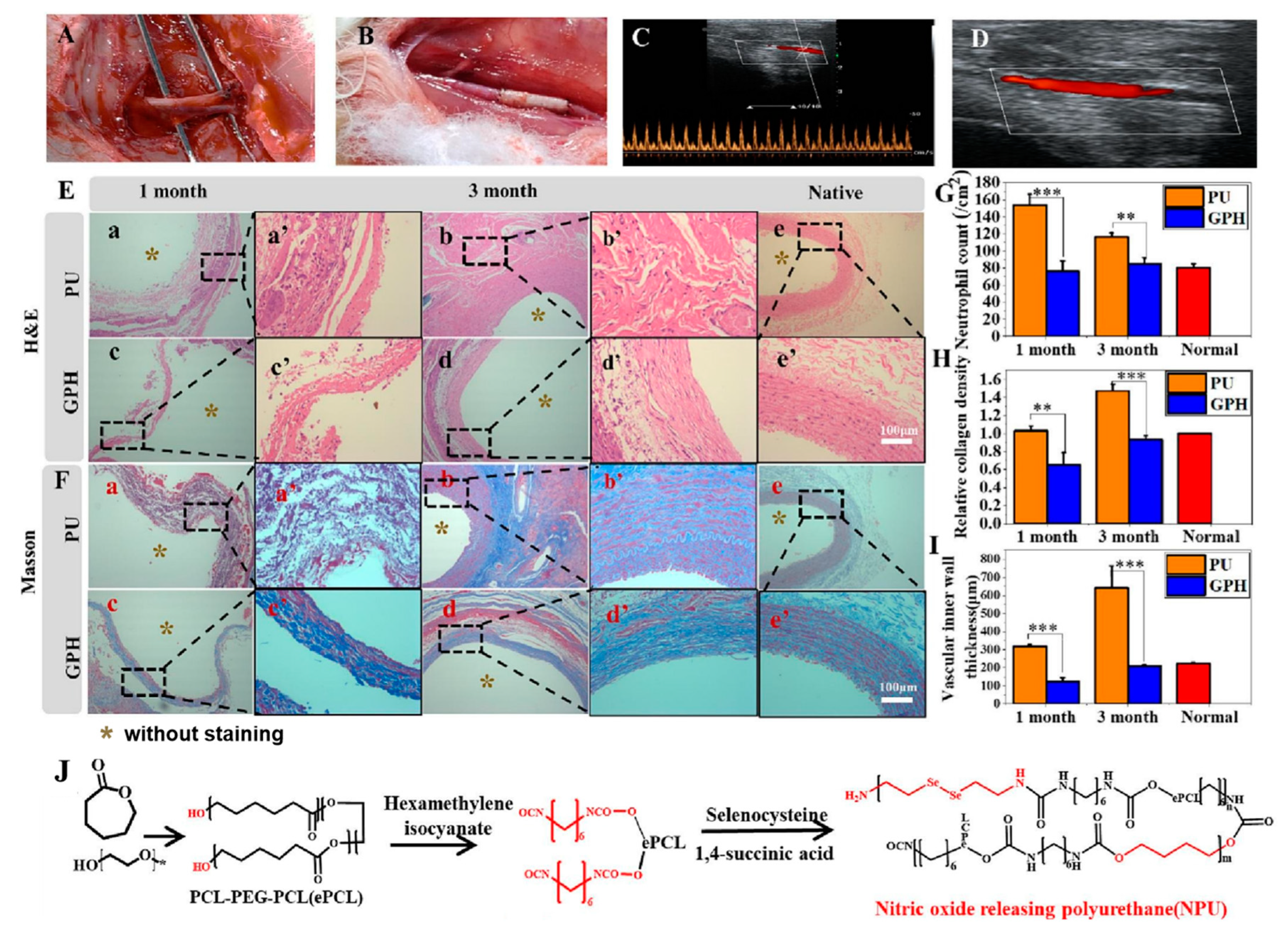Polymers 16 03528 g008 Polymers 16 03528 g008
