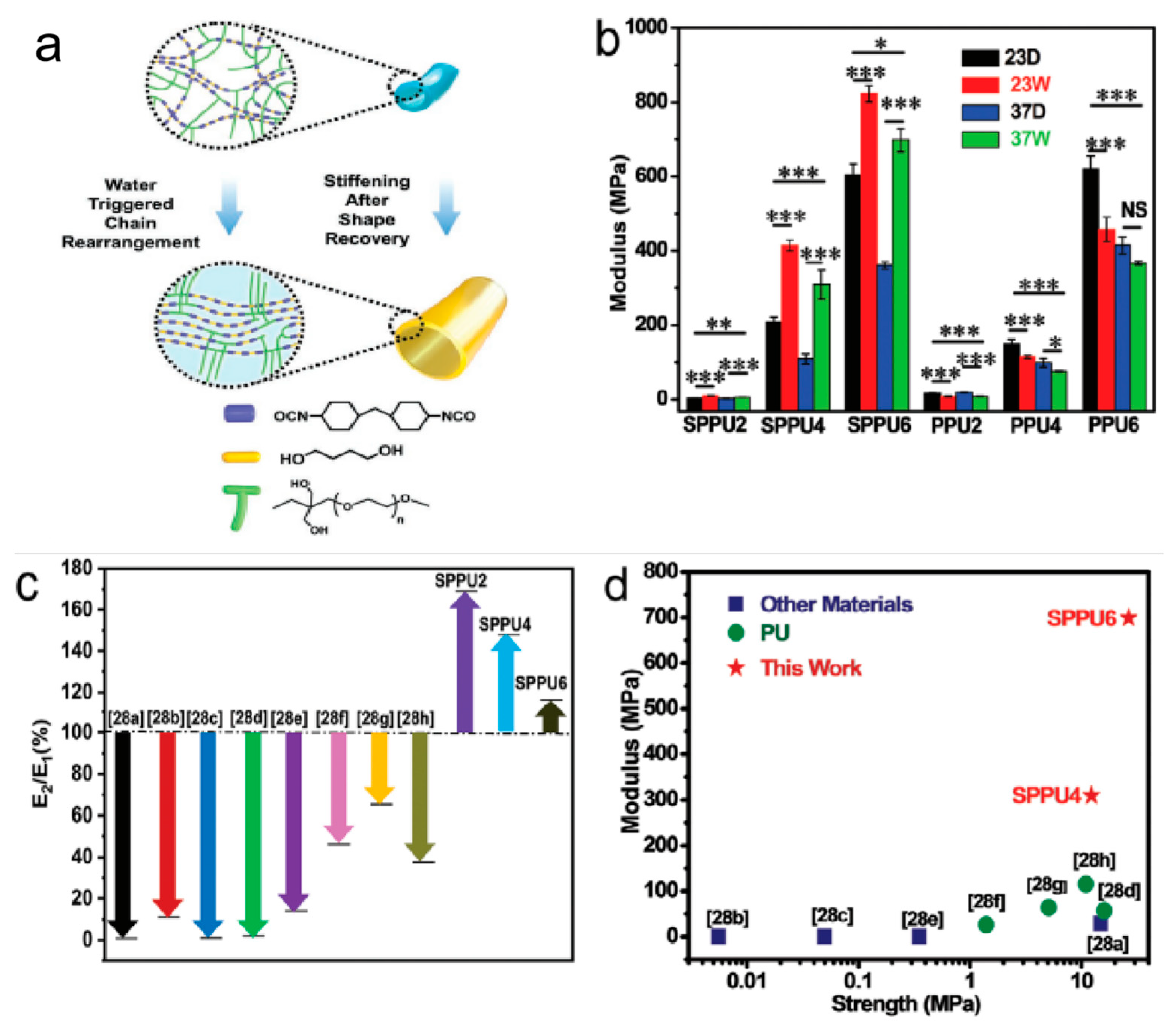 Polymers 16 03528 g009 Polymers 16 03528 g009