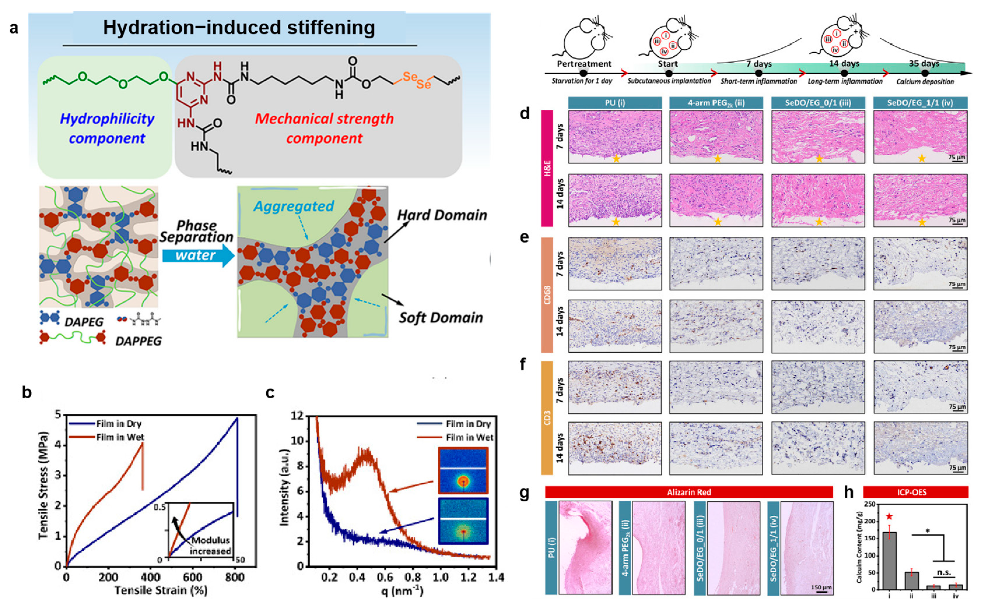 Polymers 16 03528 g010 Polymers 16 03528 g010