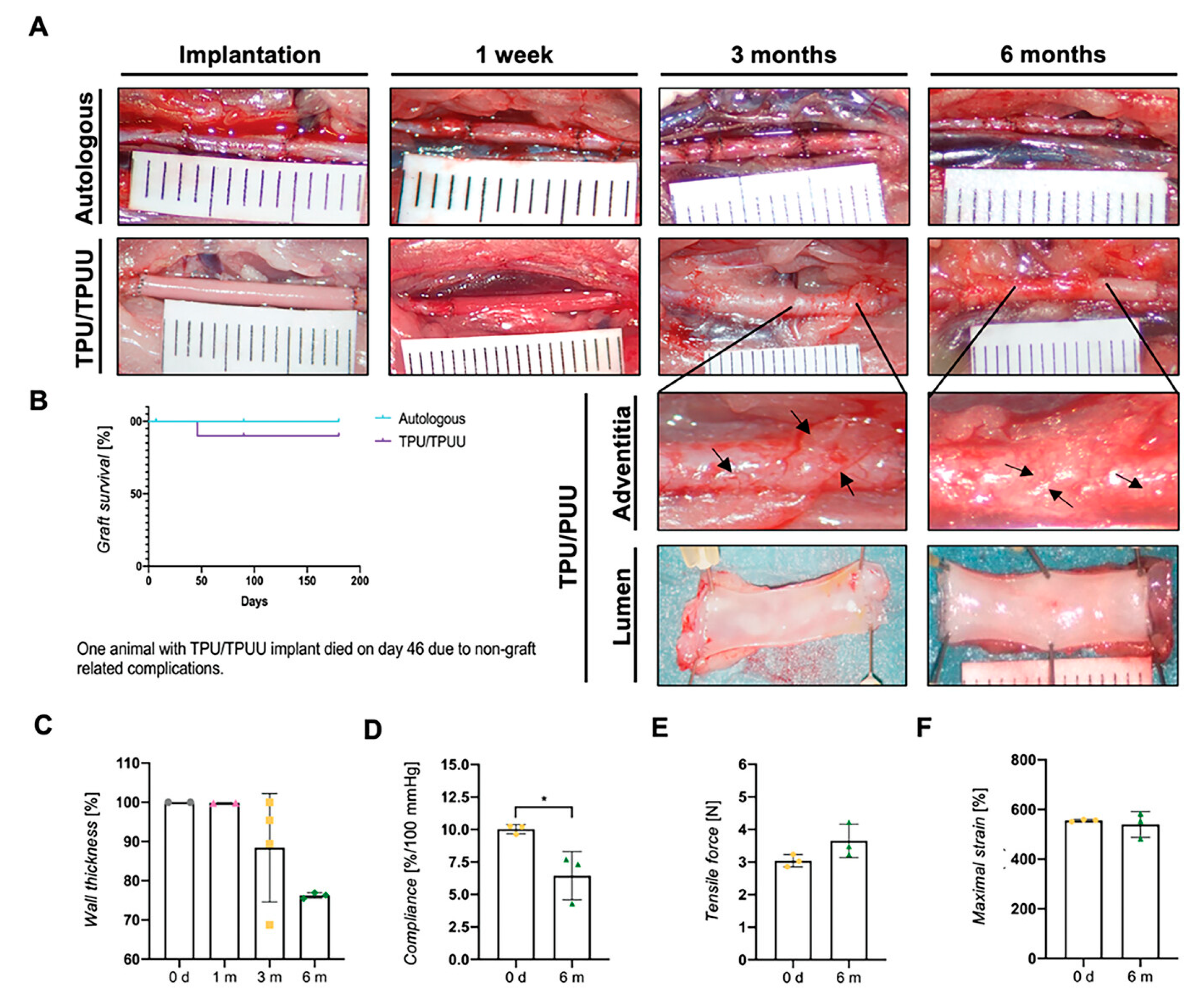 Polymers 16 03528 g011 Polymers 16 03528 g011