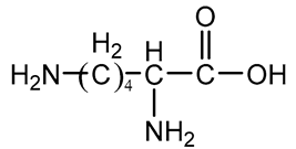 Polymers 16 03528 i021 Polymers 16 03528 i021