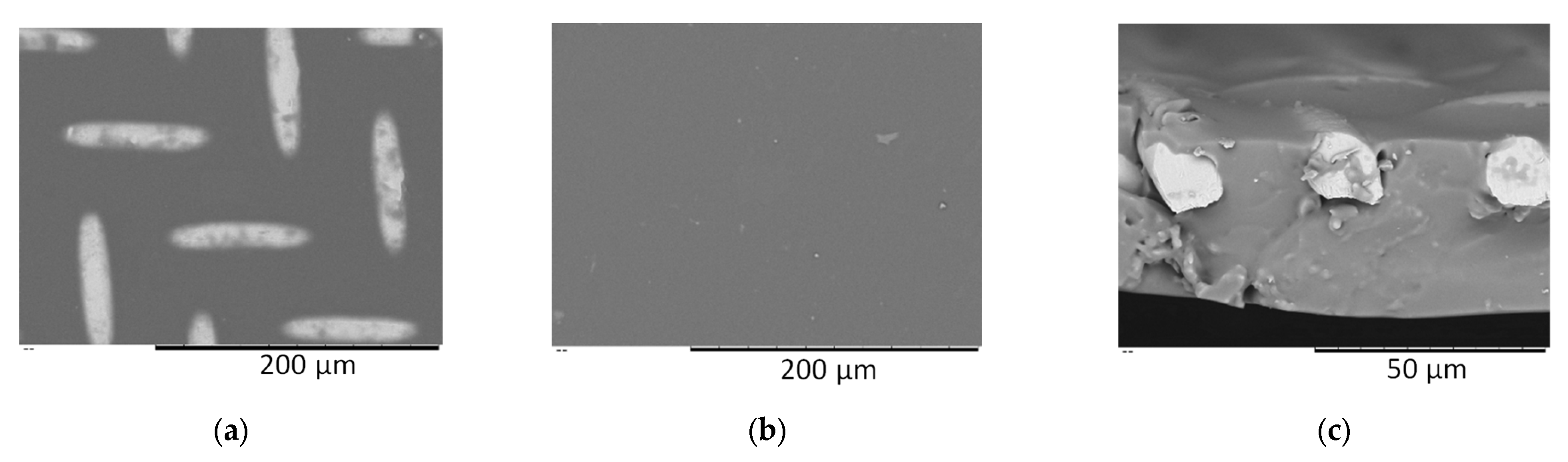Polymers 16 03530 g003