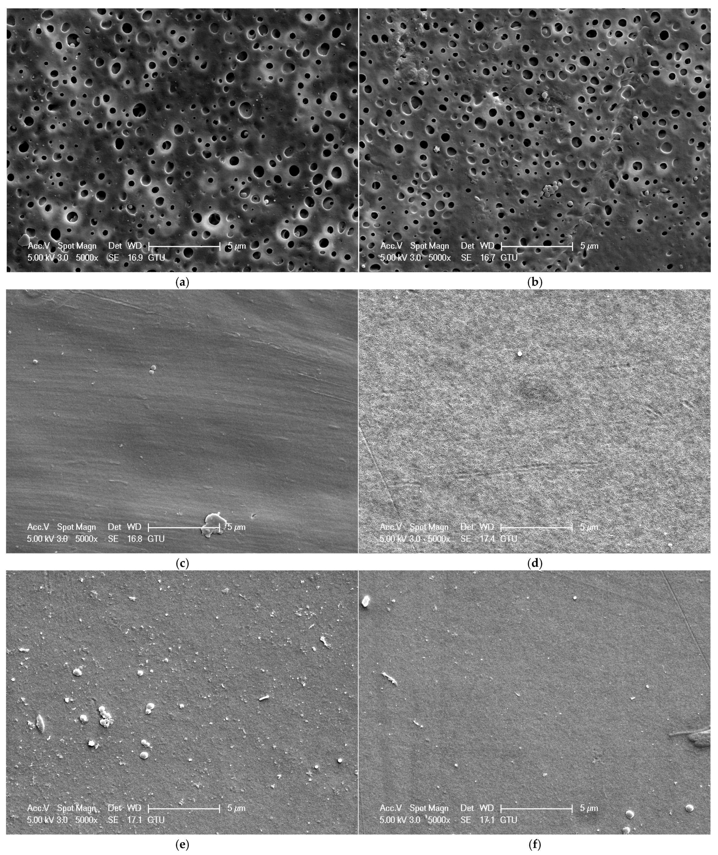 Polymers 16 03531 g014