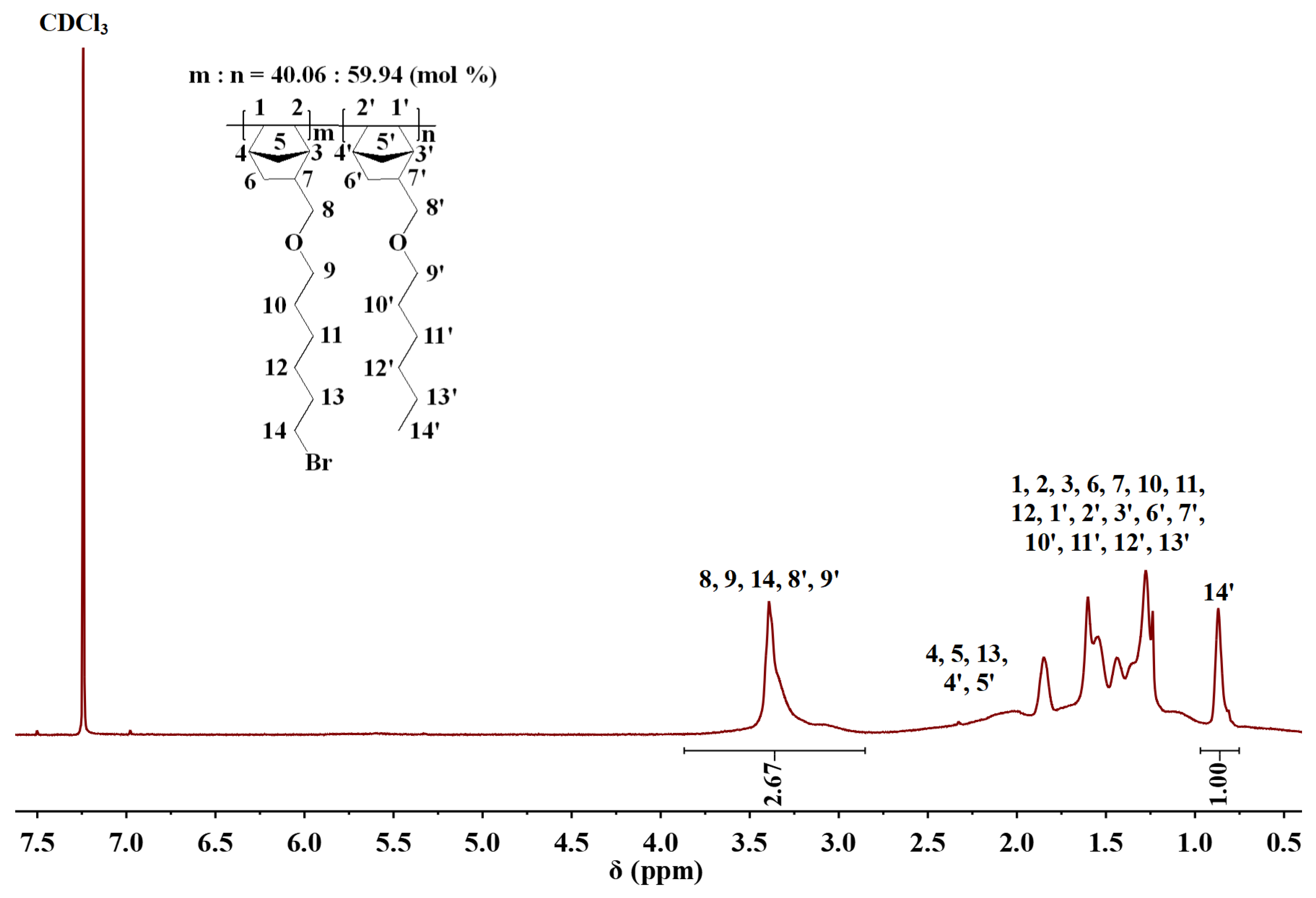 Polymers 16 03534 g001