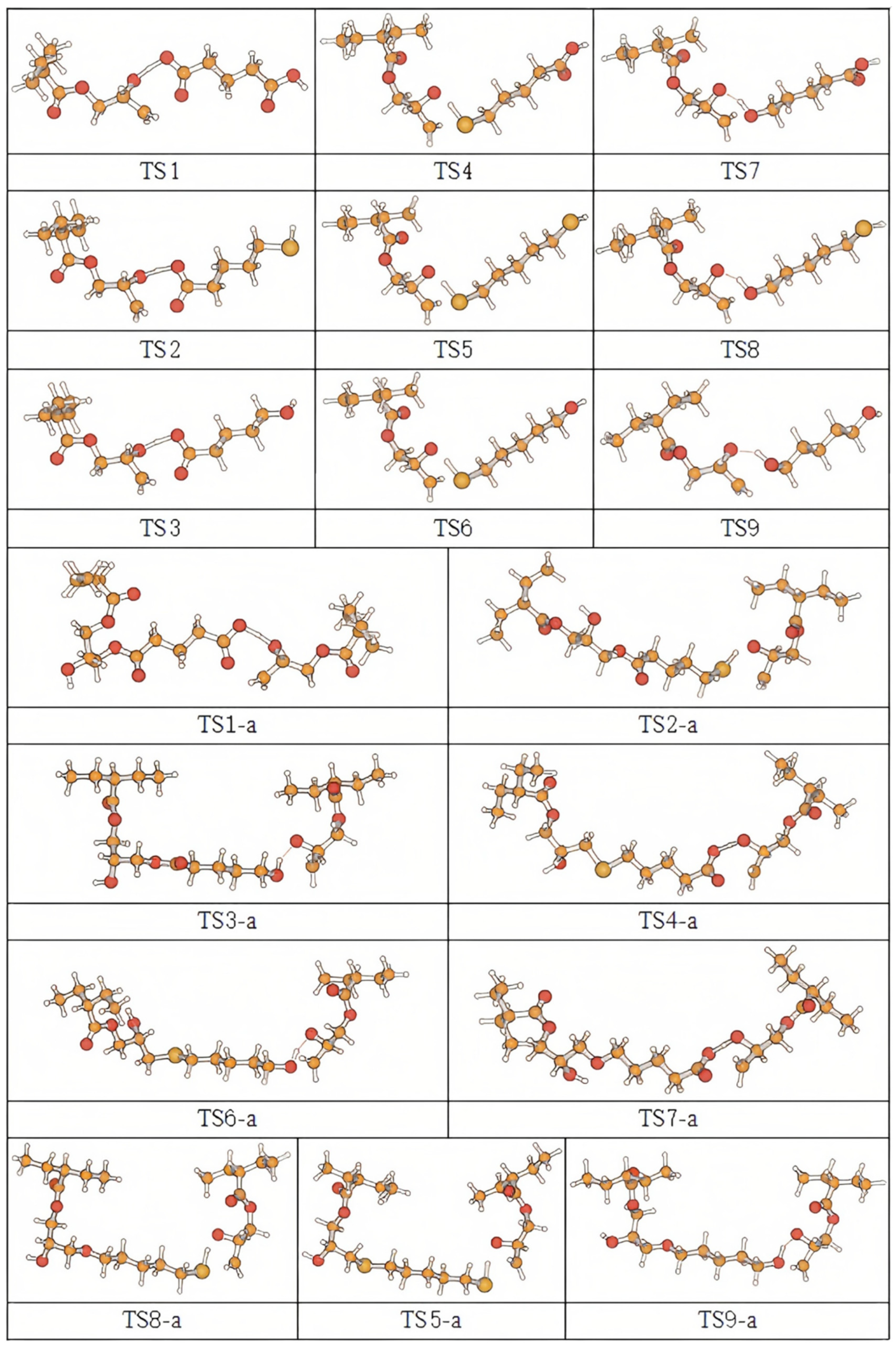 Polymers 16 03536 g001