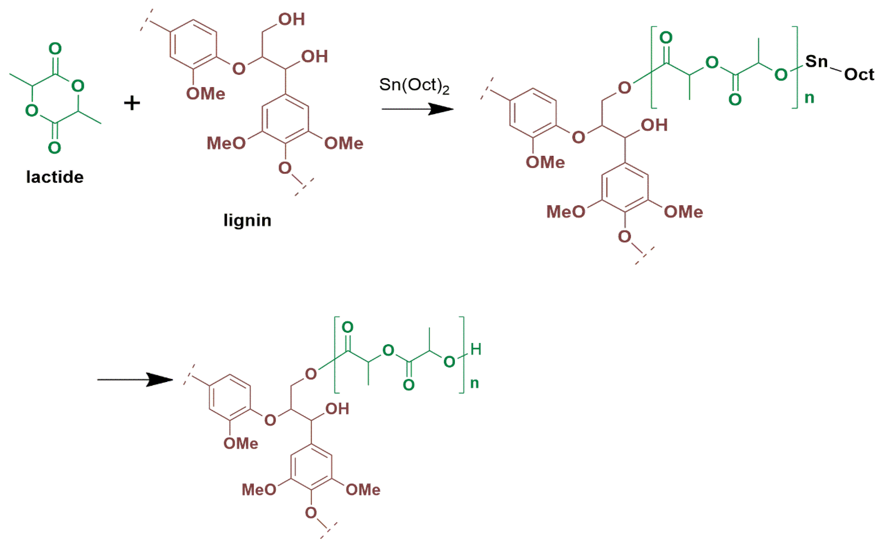 Polymers 16 03542 g001