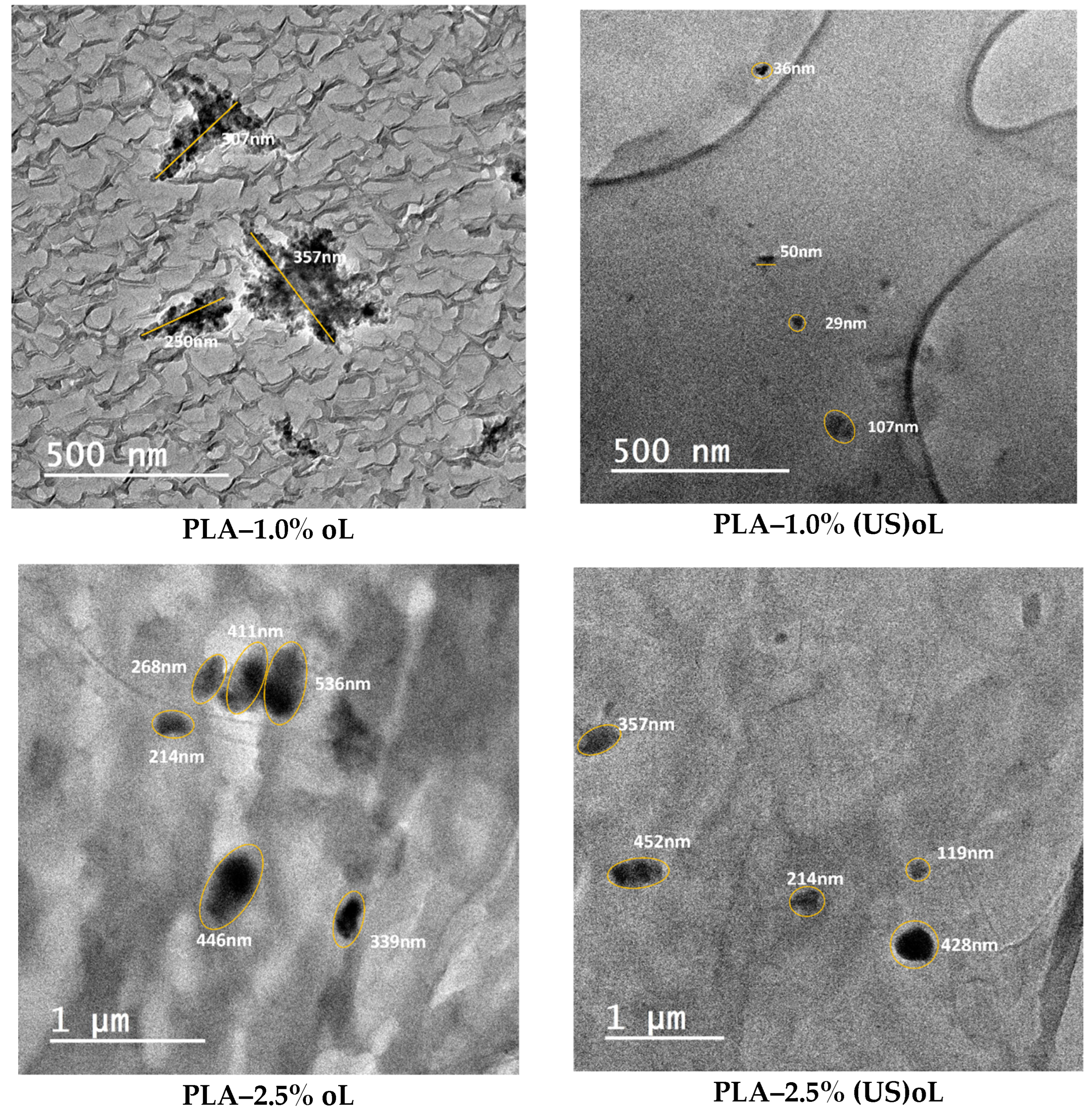 Polymers 16 03542 g004b