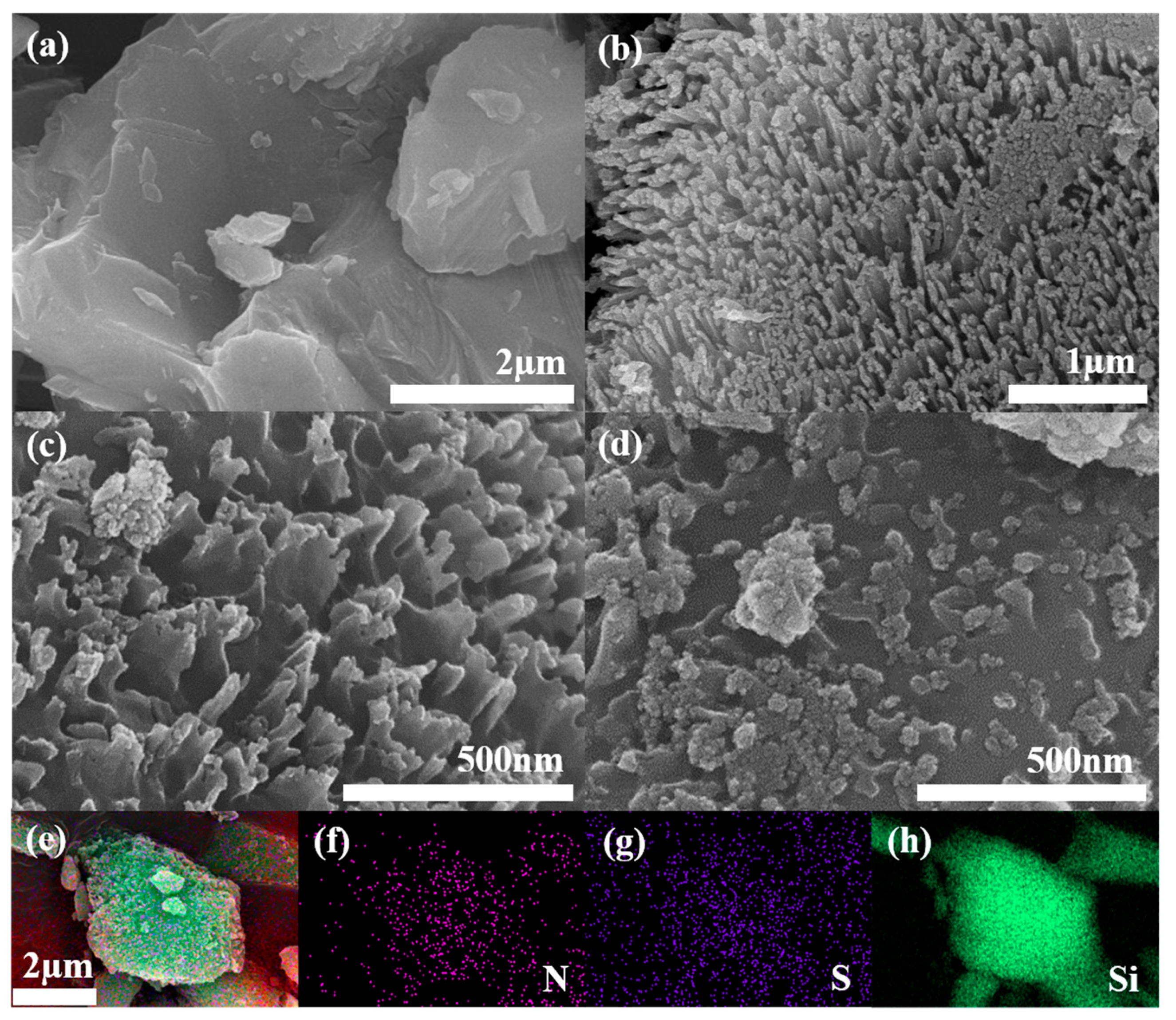 Polymers 16 03544 g001
