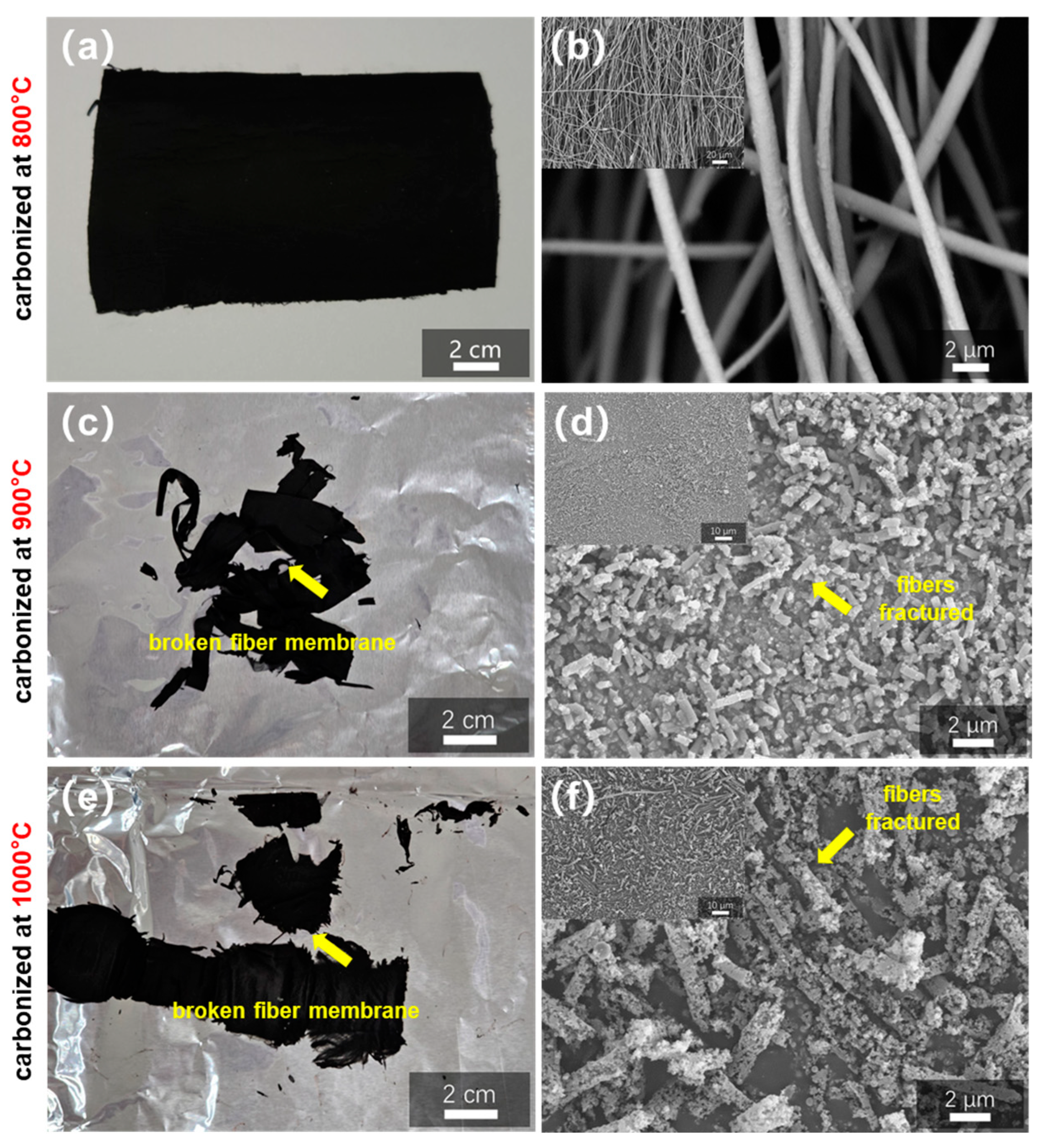 Polymers 16 03547 g007