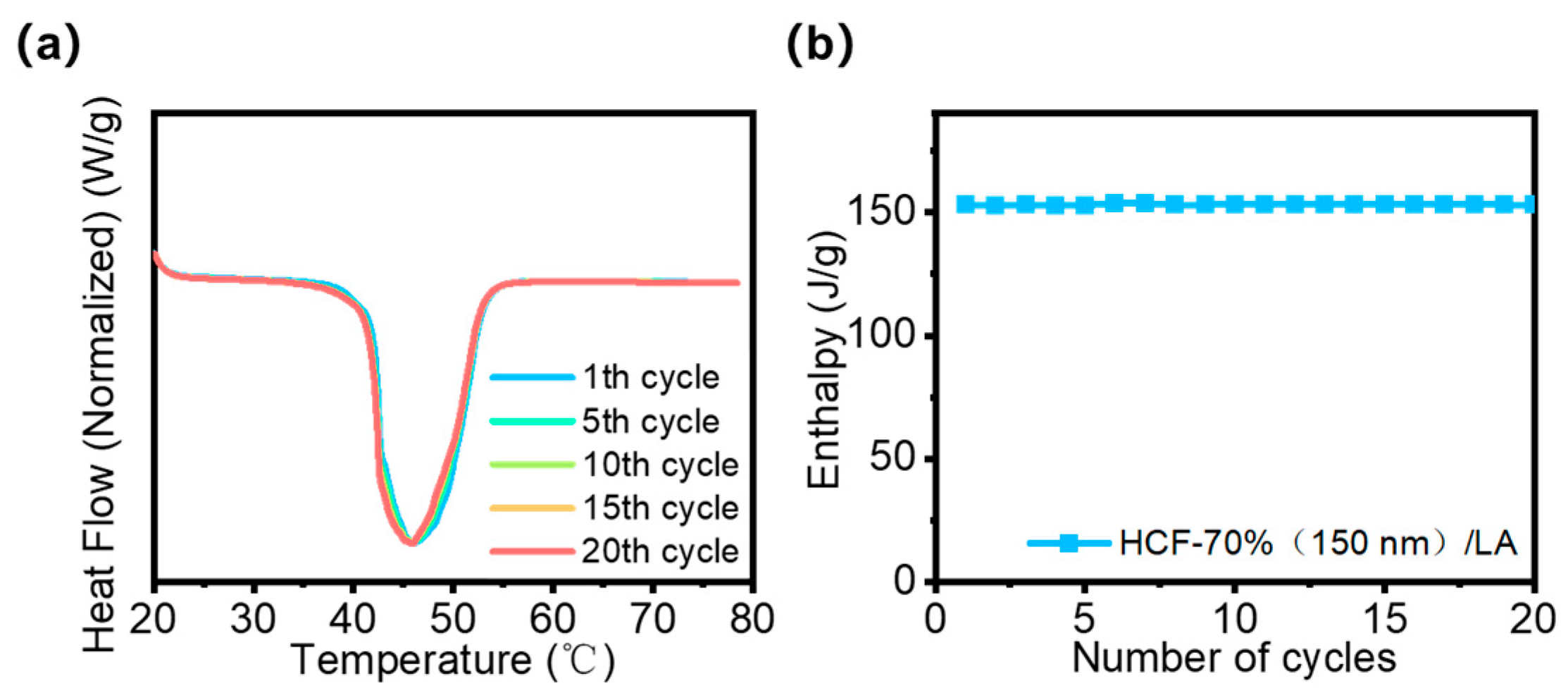Polymers 16 03547 g013