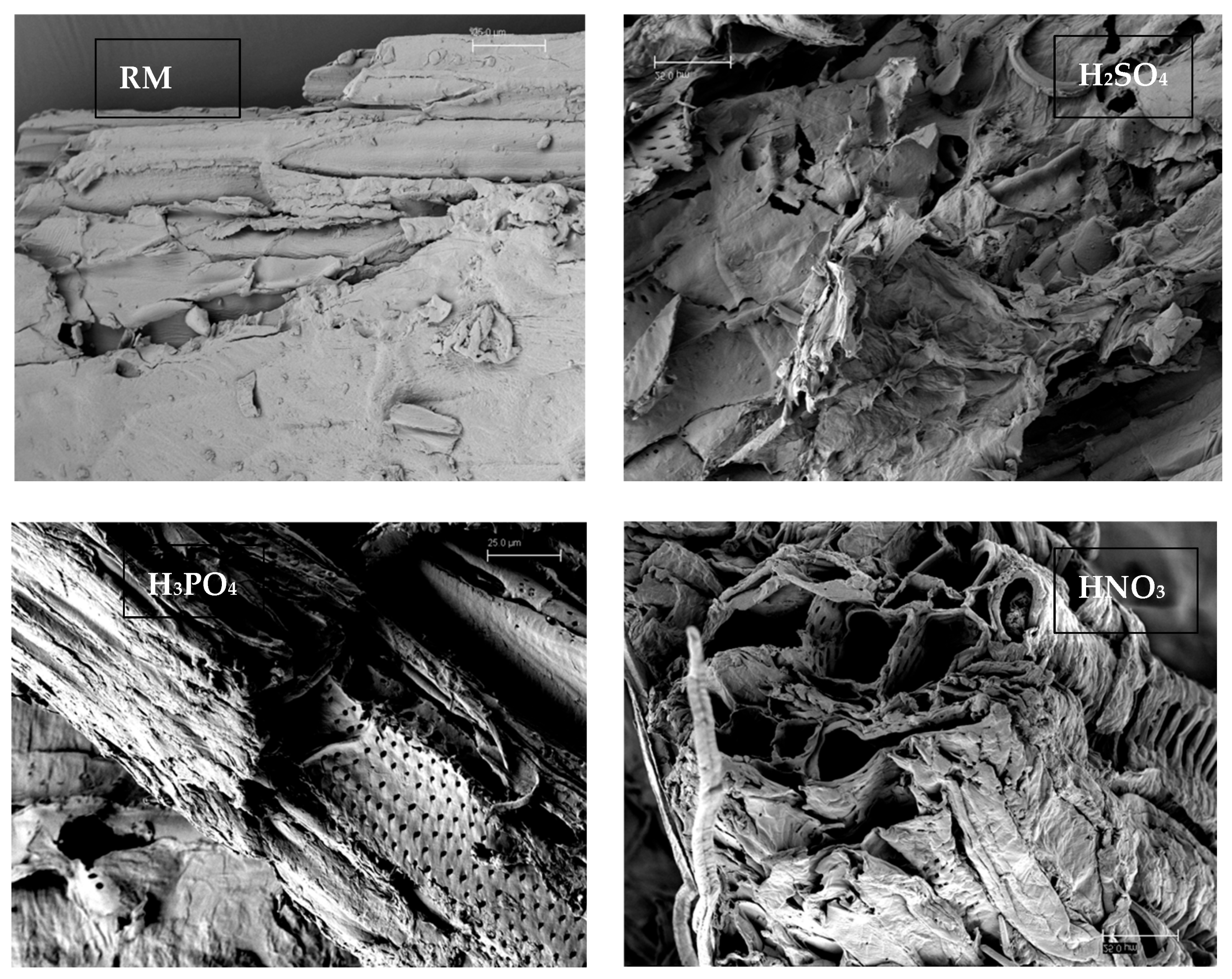 Polymers 16 03548 g005