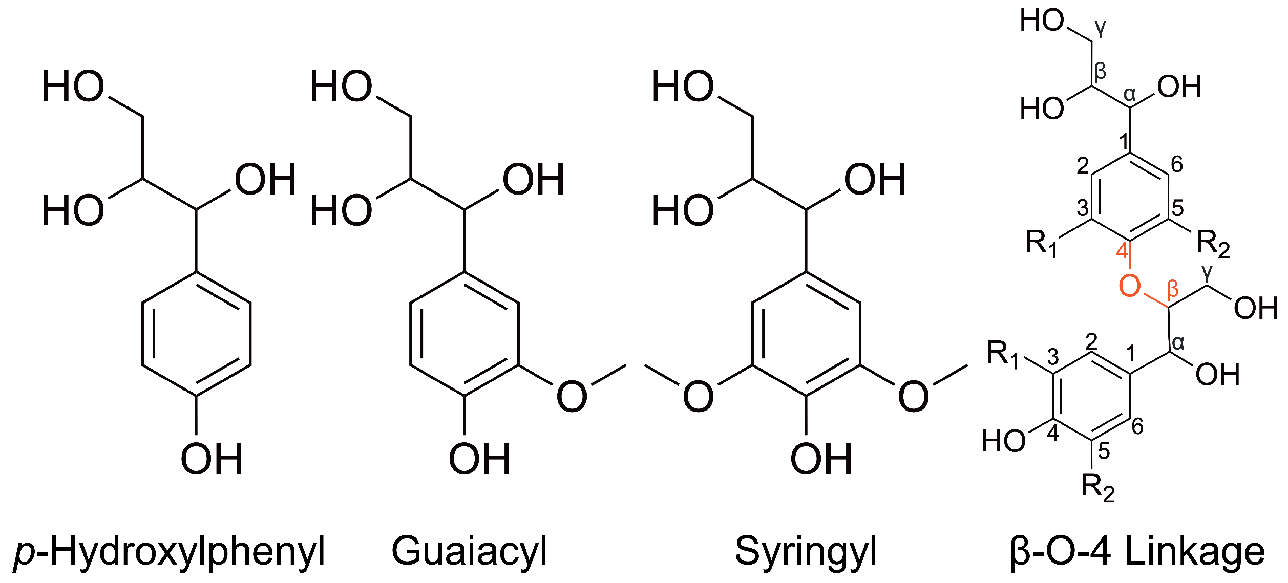 Polymers 16 03552 g001