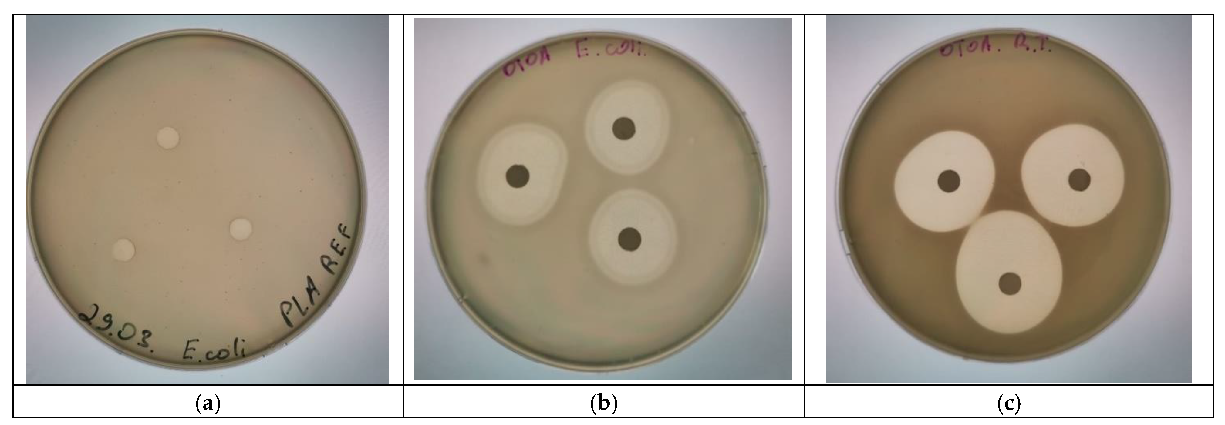 Polymers 16 03554 g008