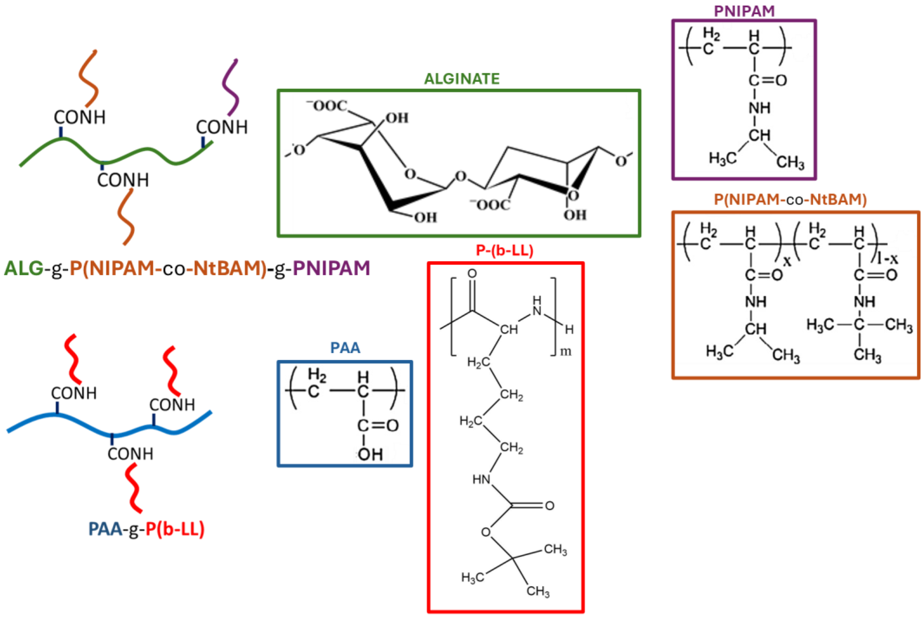 Polymers 16 03555 sch001
