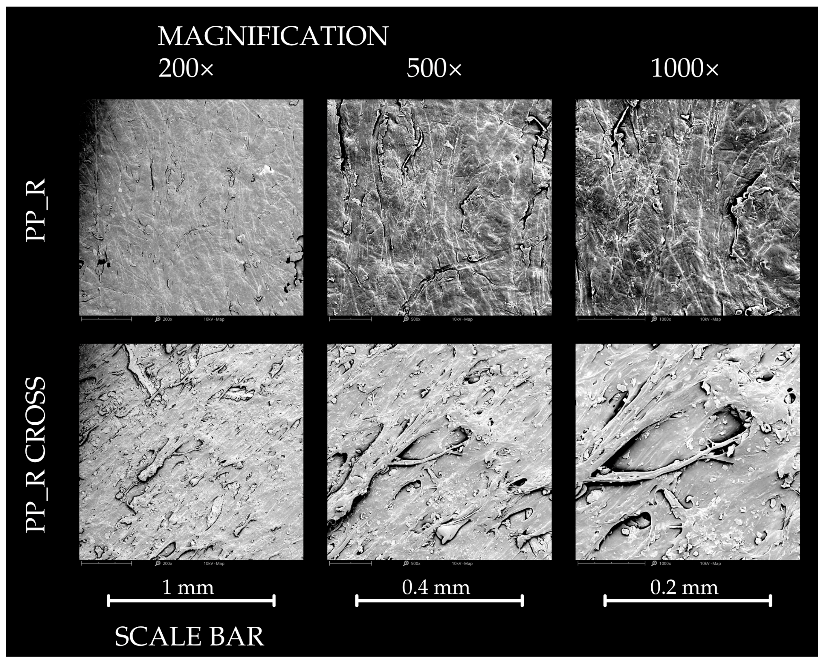 Polymers 16 03557 g013