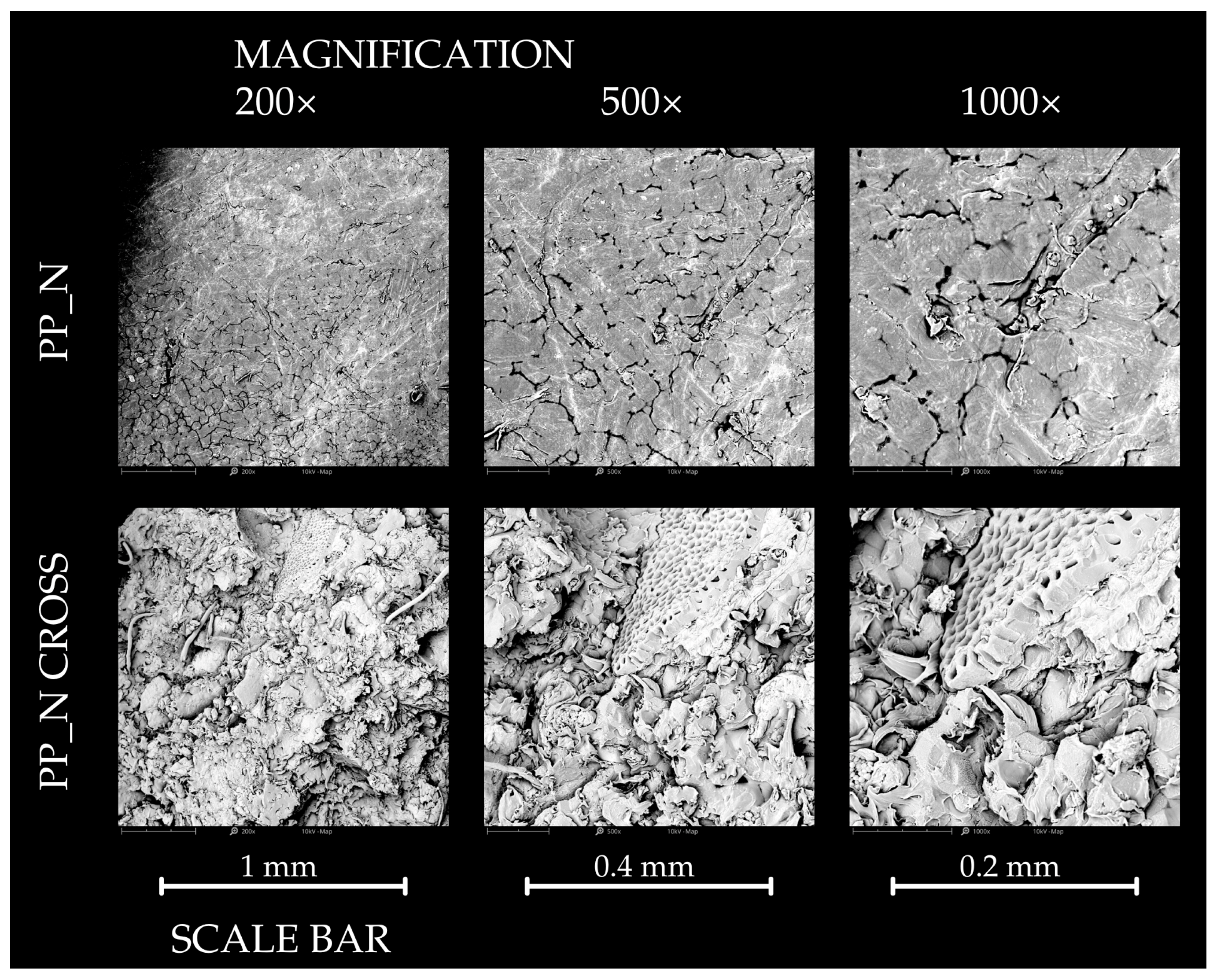 Polymers 16 03557 g014