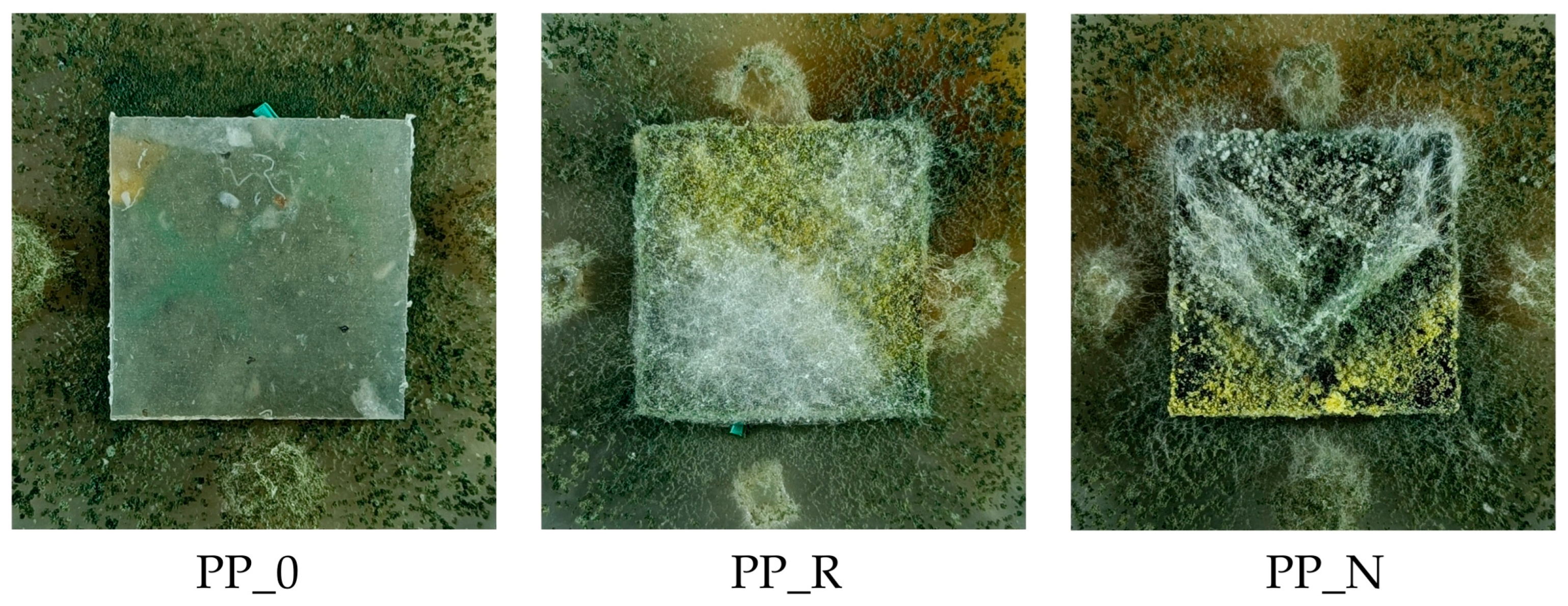 Polymers 16 03557 g017