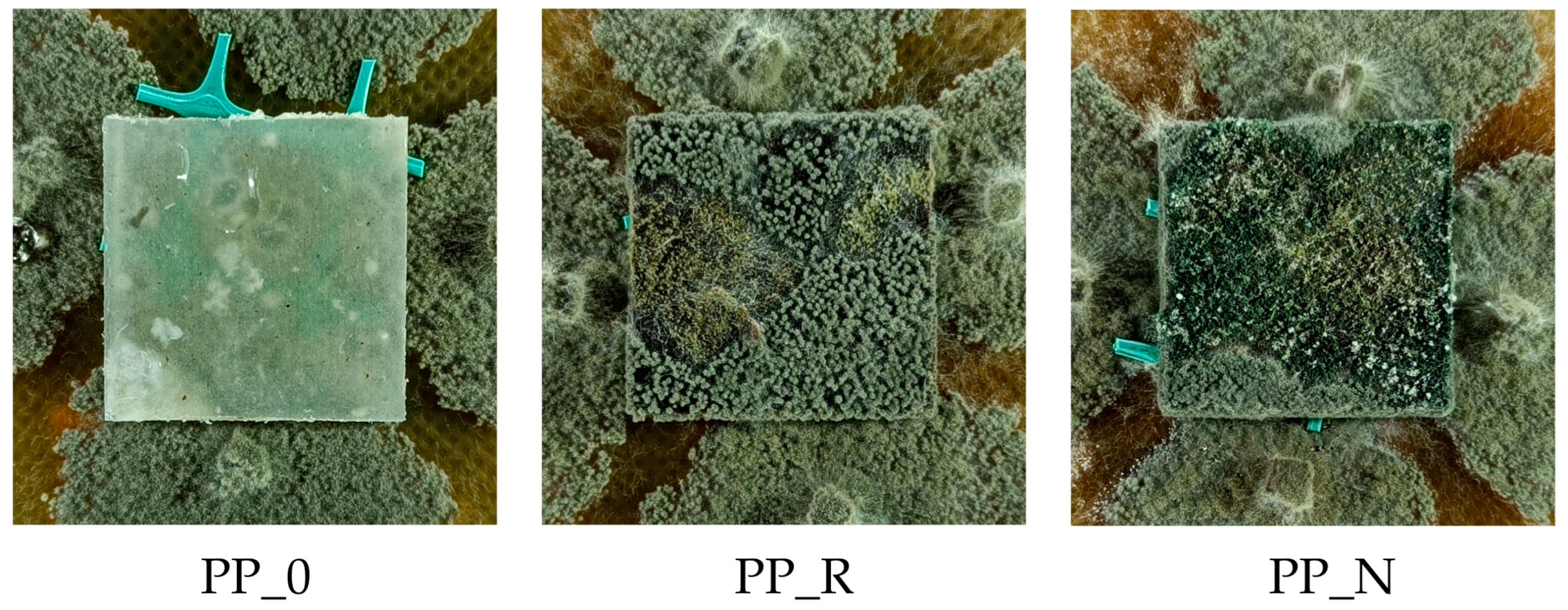 Polymers 16 03557 g018