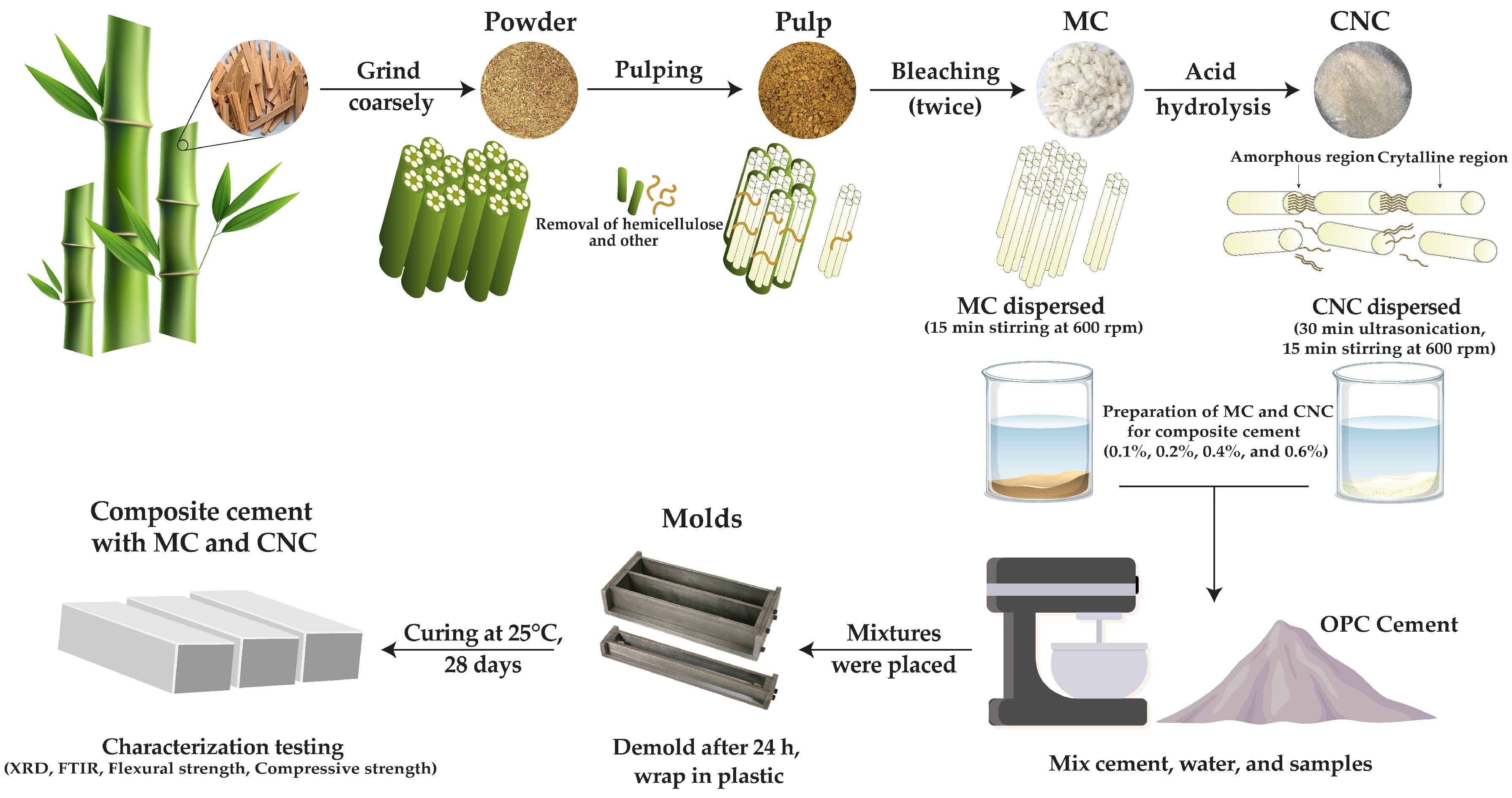 Polymers 16 03558 g001