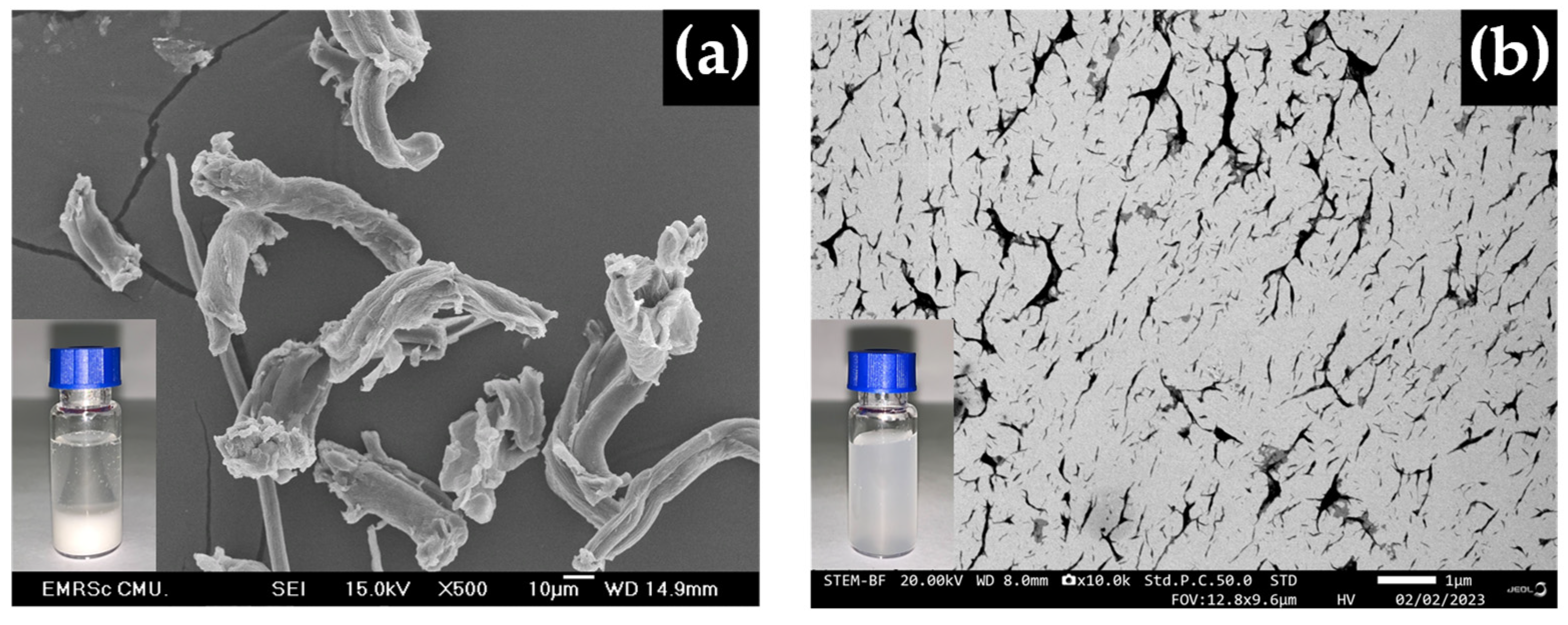 Polymers 16 03558 g002