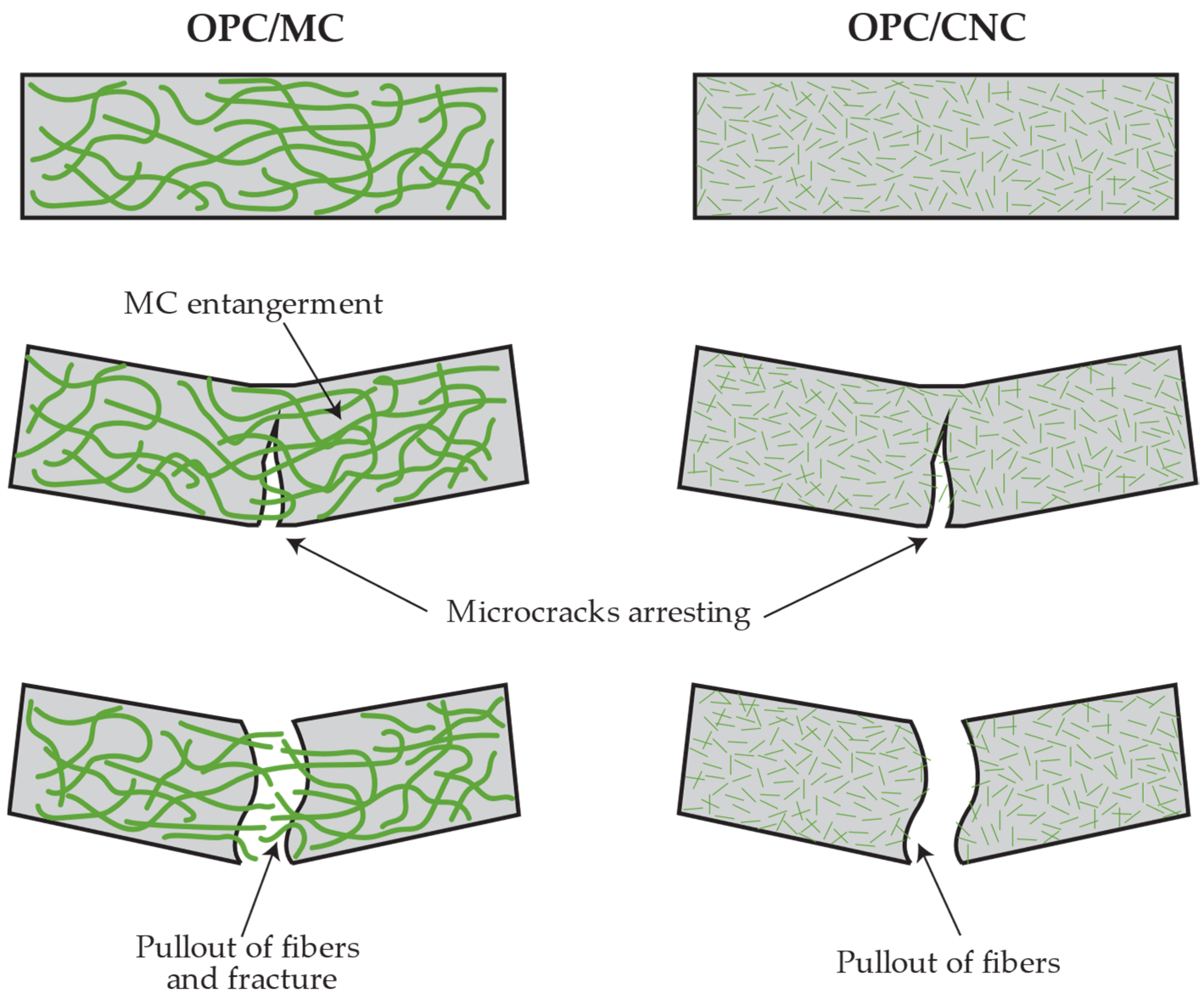 Polymers 16 03558 g005
