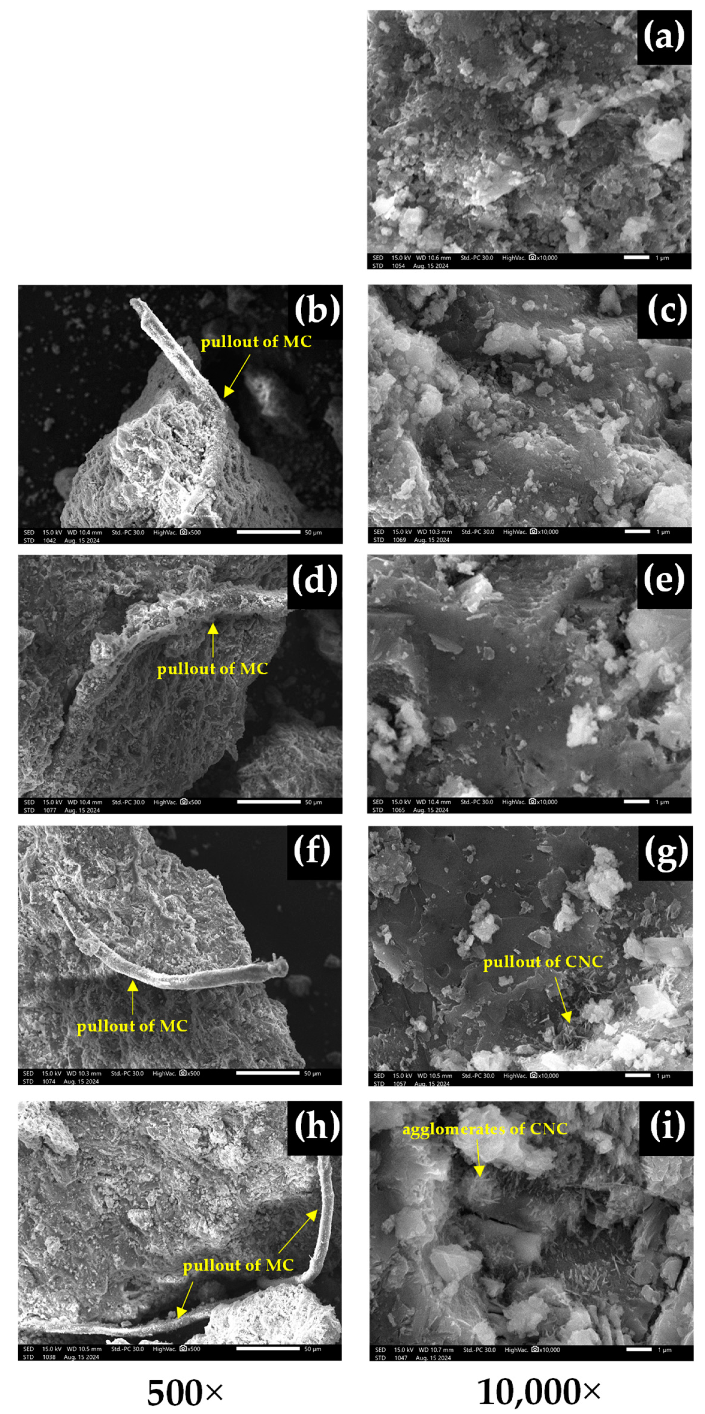 Polymers 16 03558 g008