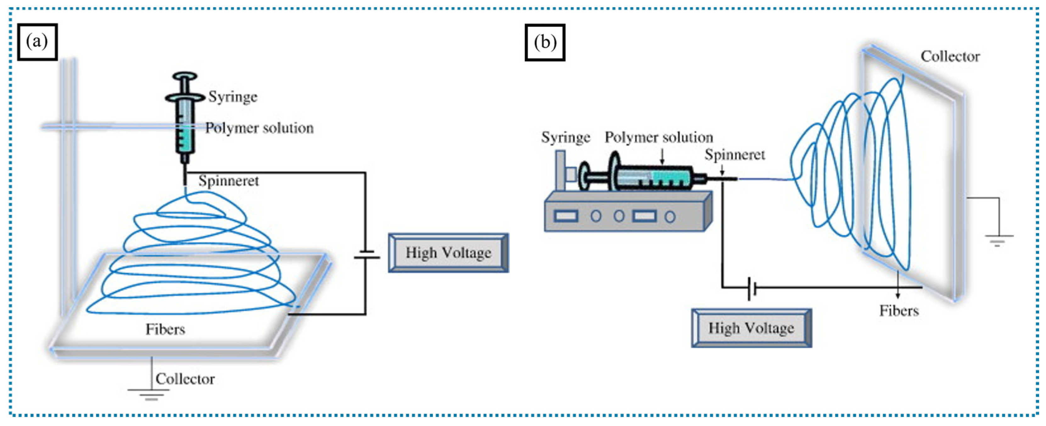 Polymers 16 03564 g001